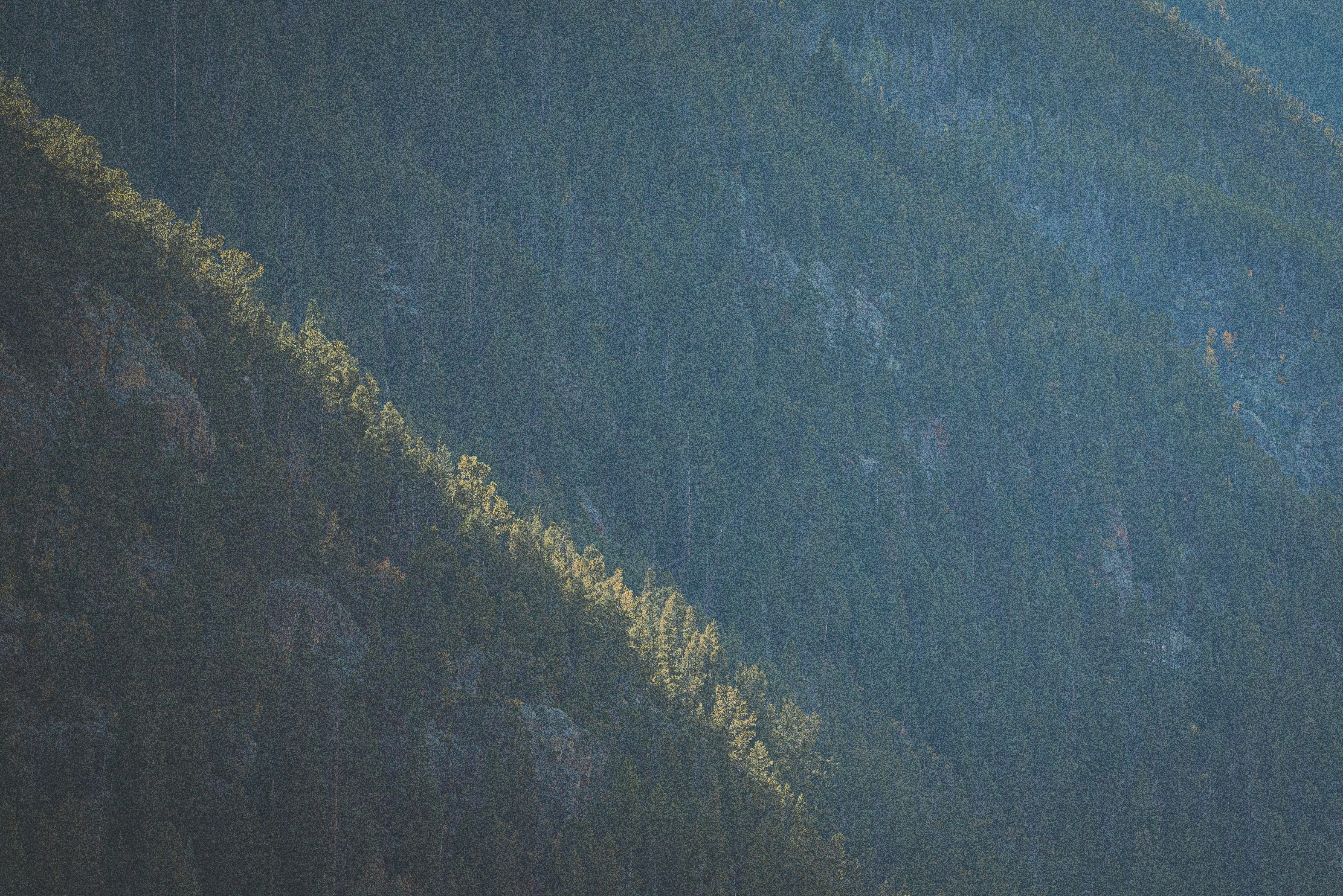 Photo by keepitchassephotography