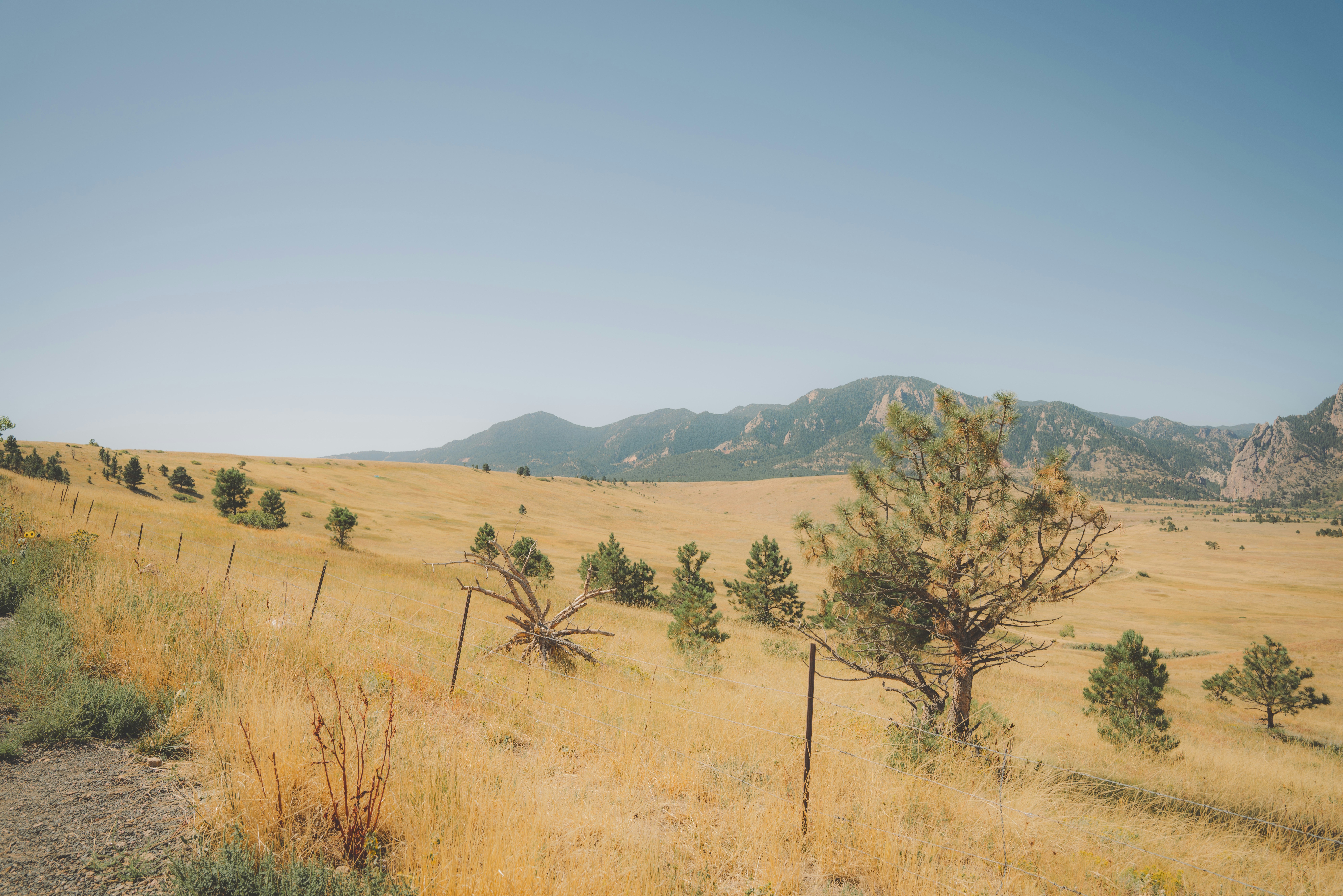 Photo by keepitchassephotography