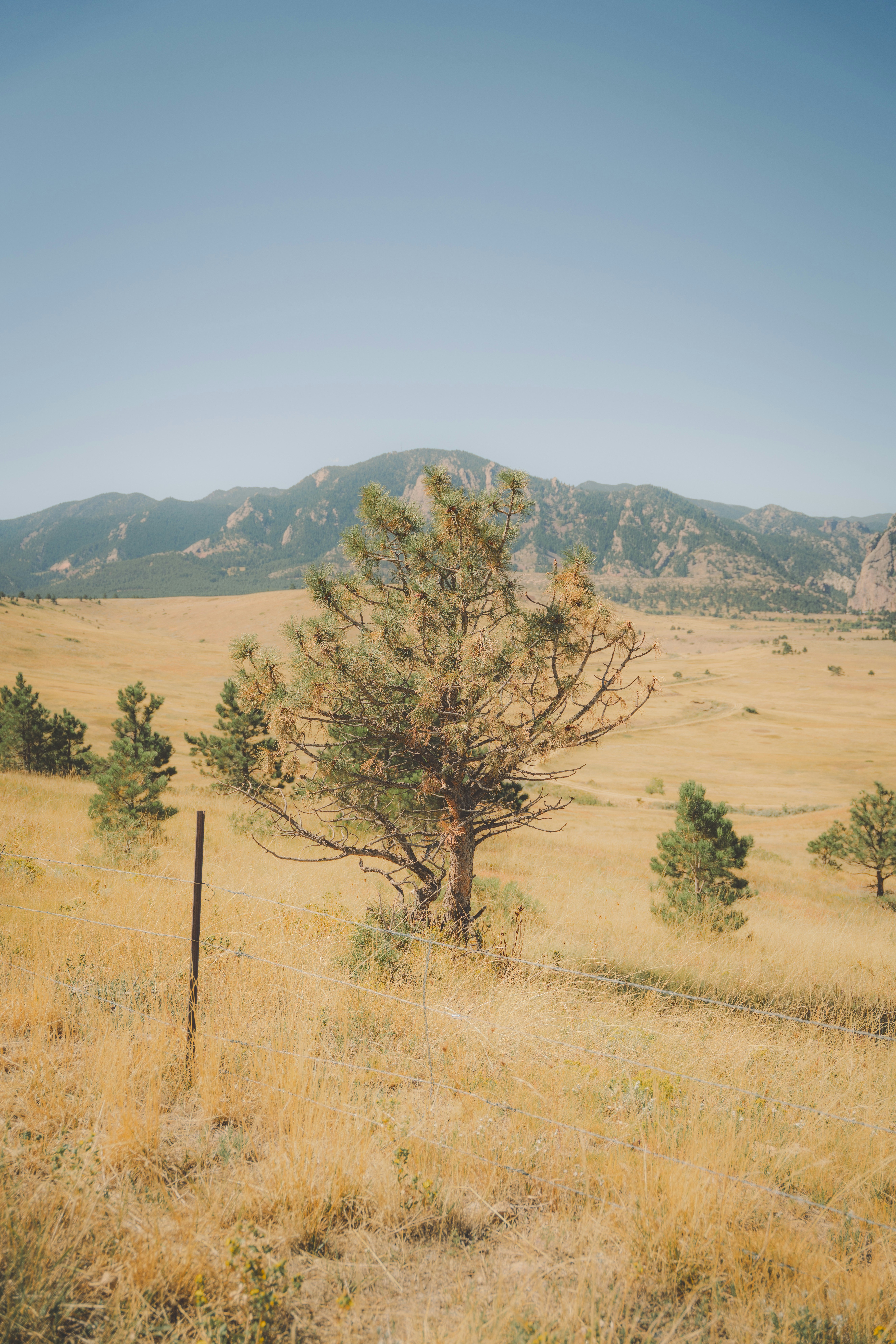 Photo by keepitchassephotography