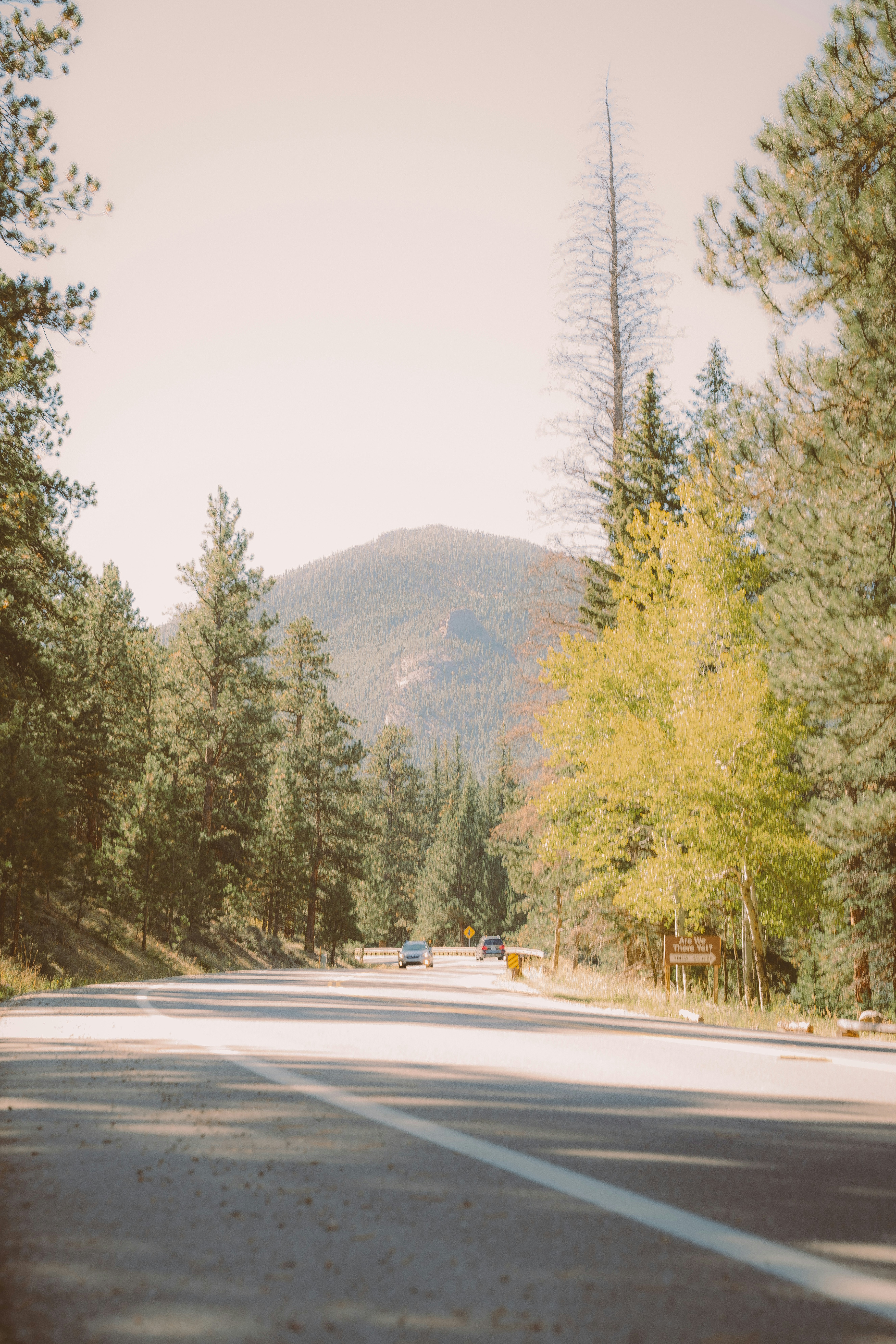 Photo by keepitchassephotography