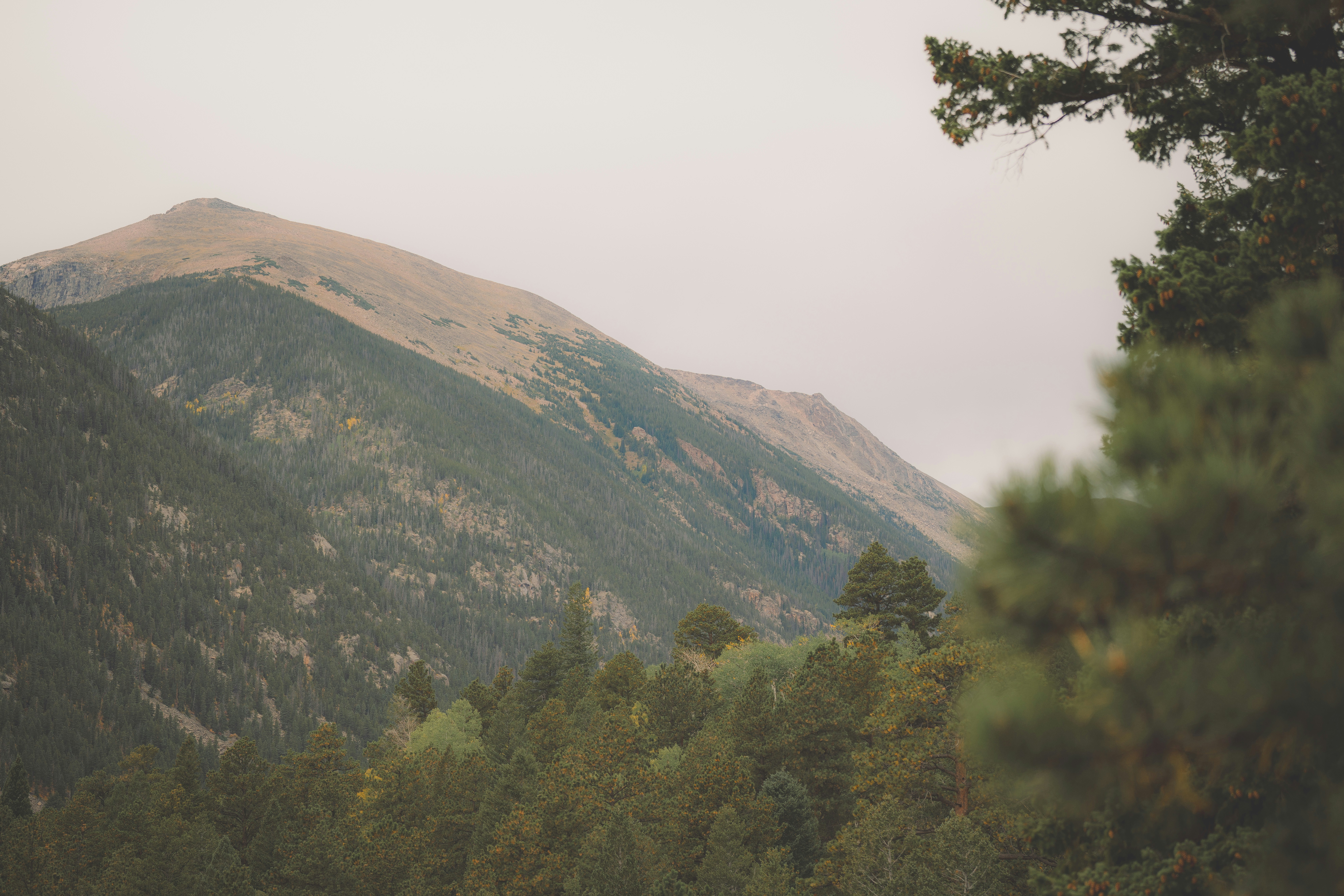 Photo by keepitchassephotography