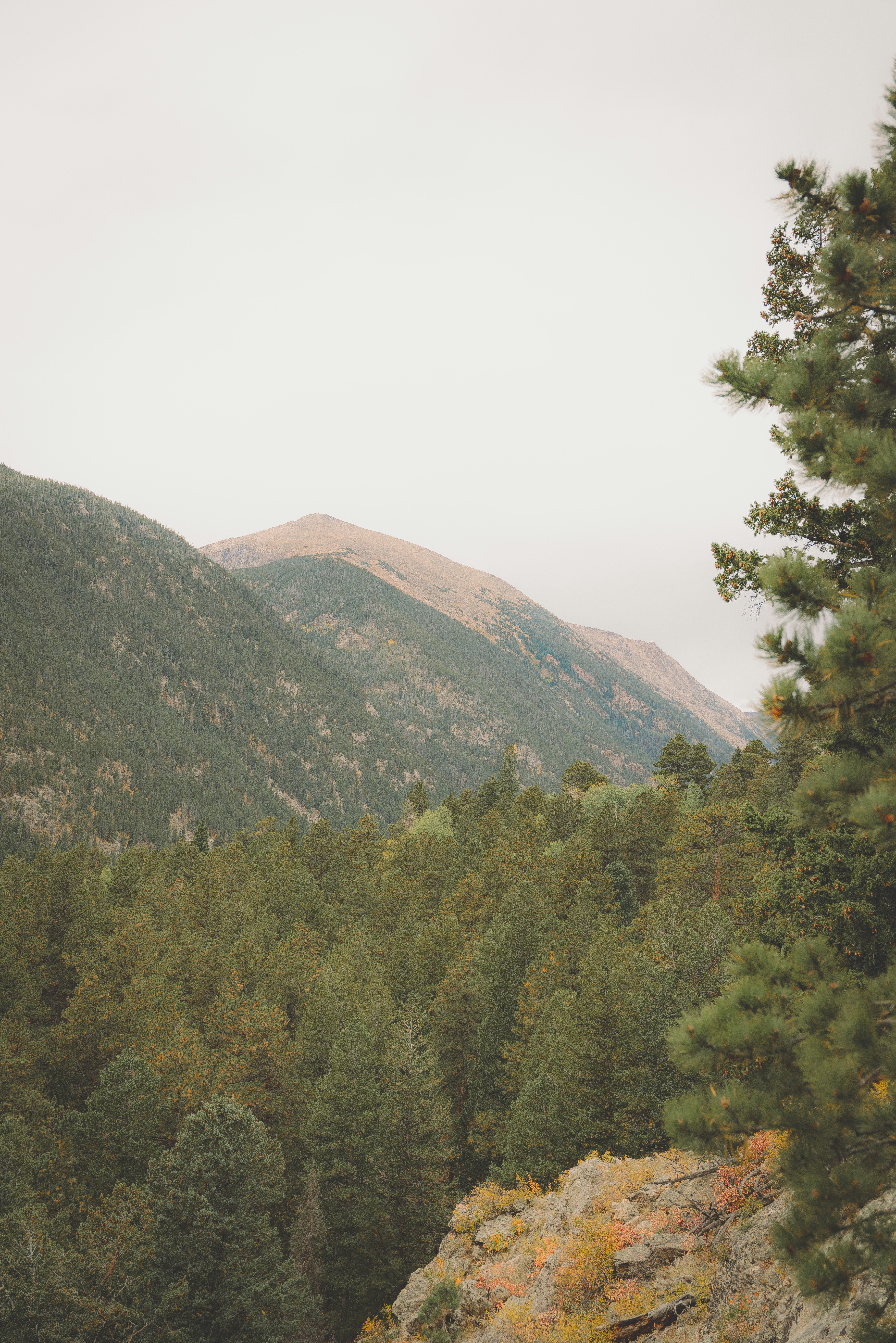 Photo by keepitchassephotography