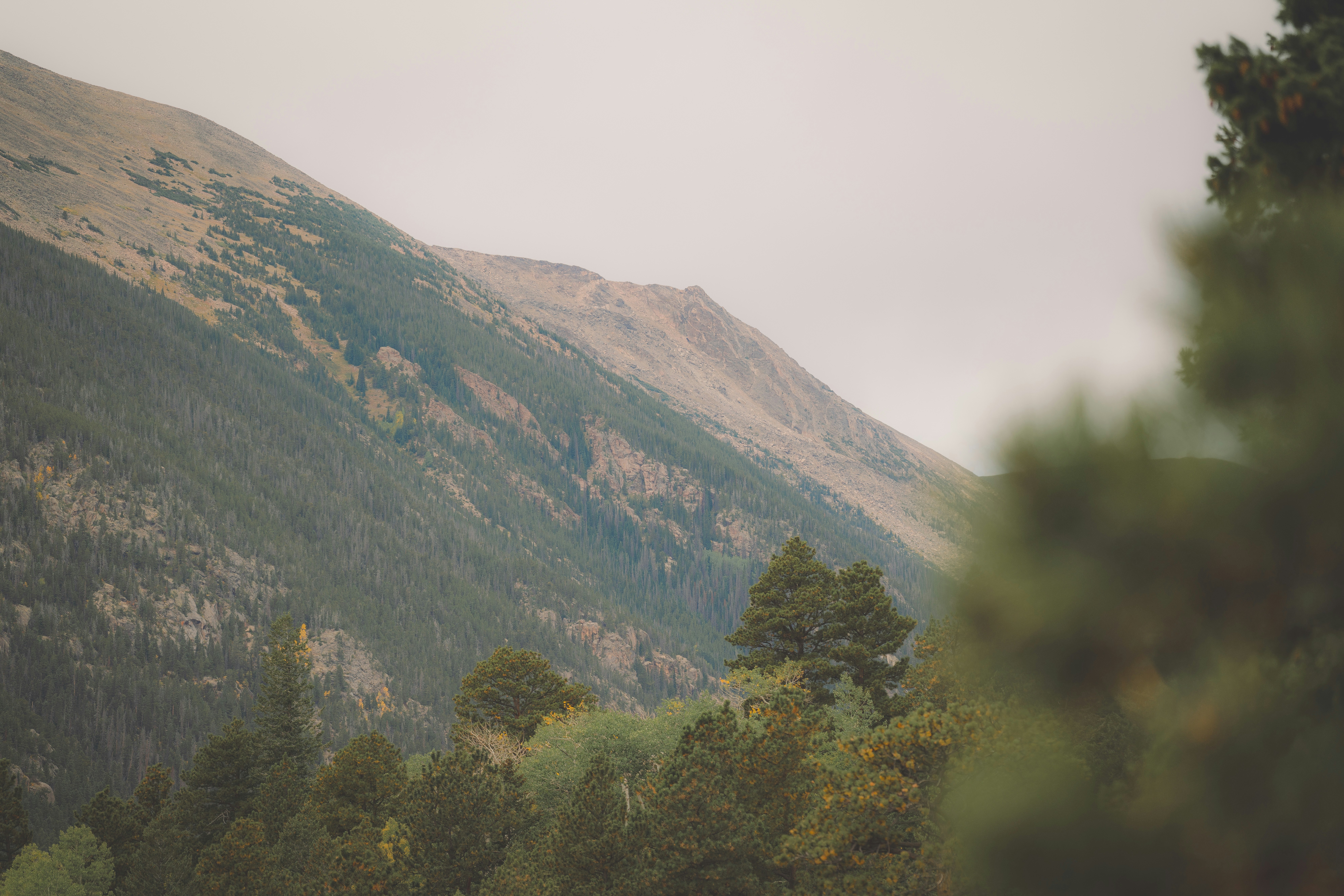 Photo by keepitchassephotography