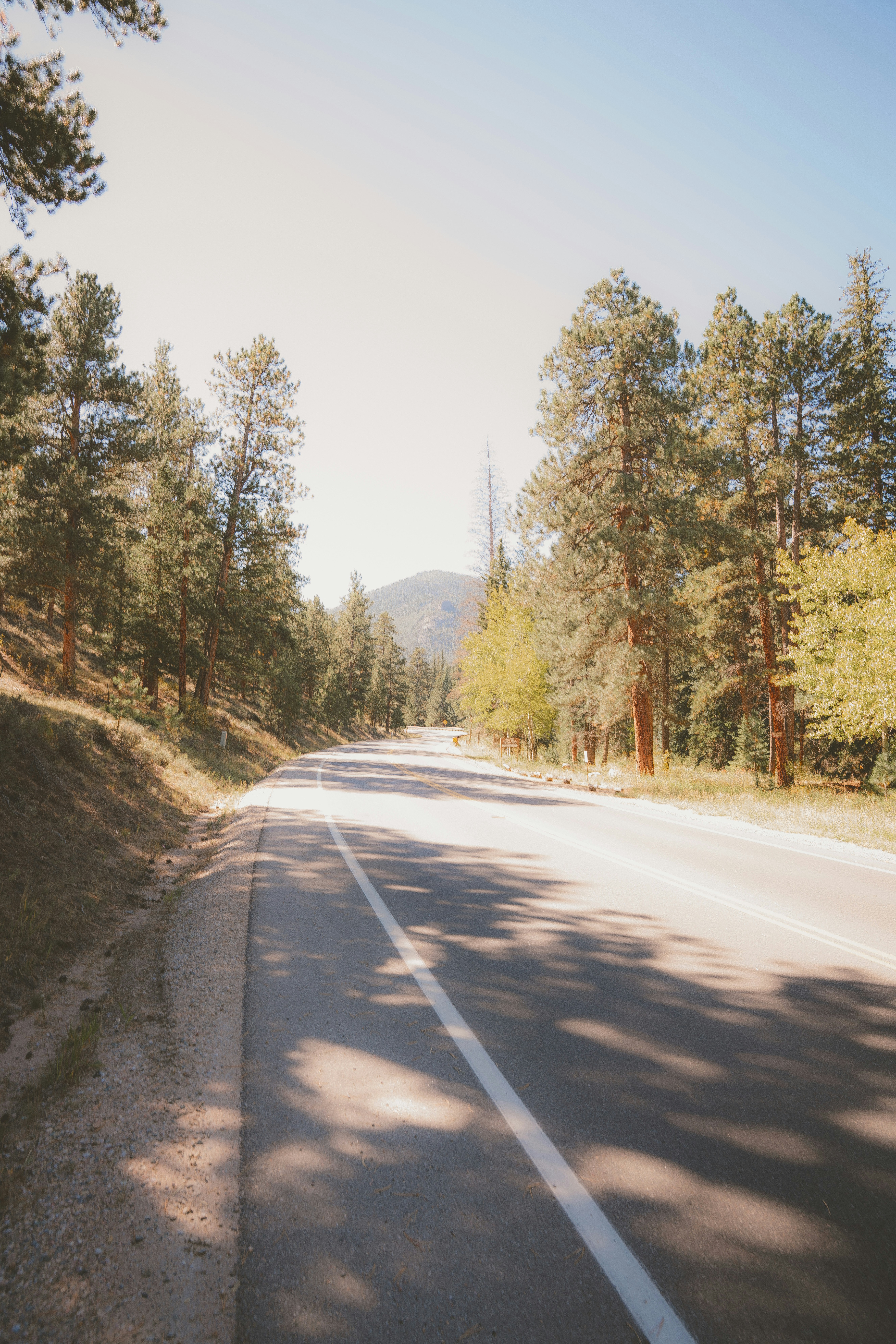 Photo by keepitchassephotography