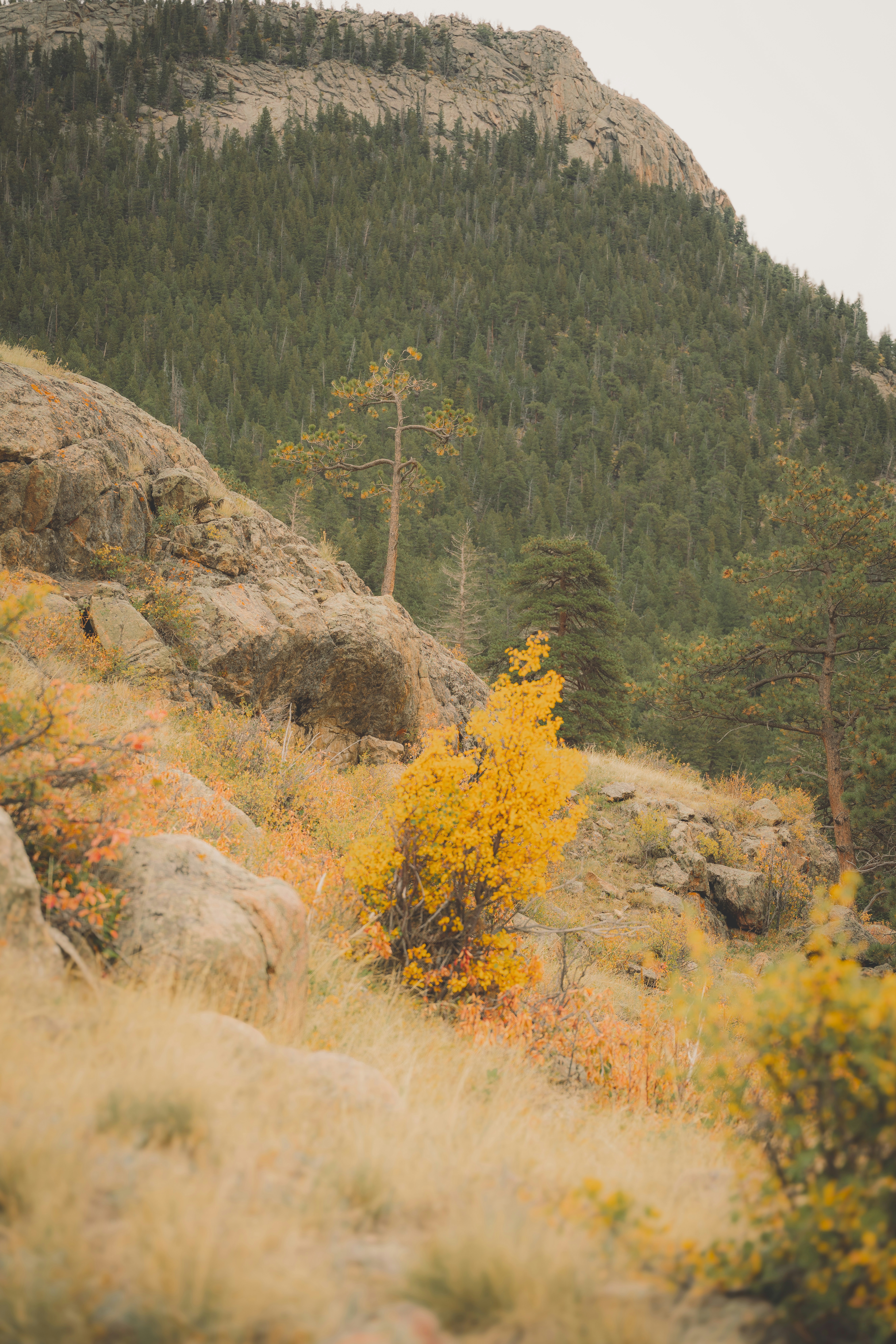 Photo by keepitchassephotography