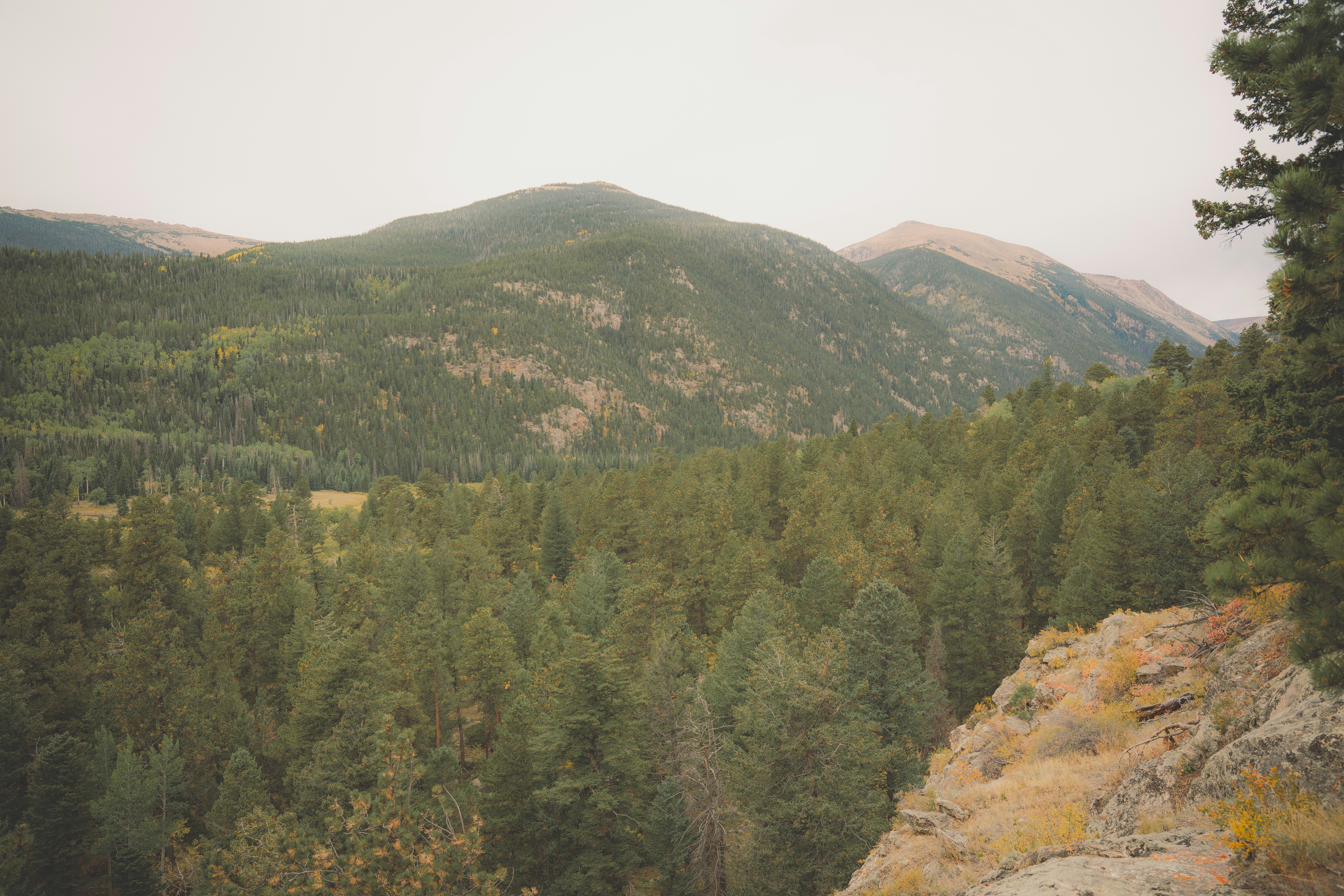 Photo by keepitchassephotography