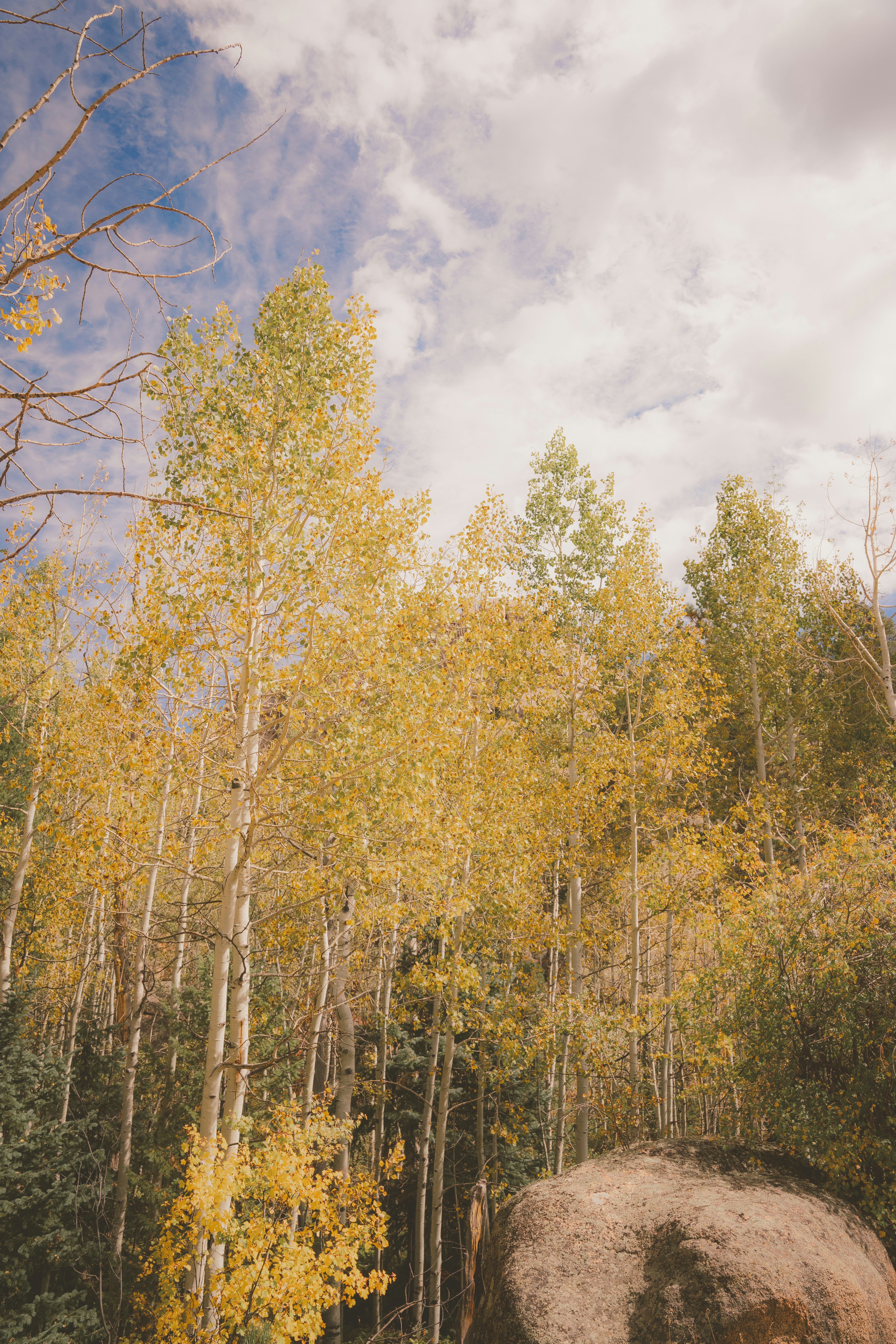 Photo by keepitchassephotography