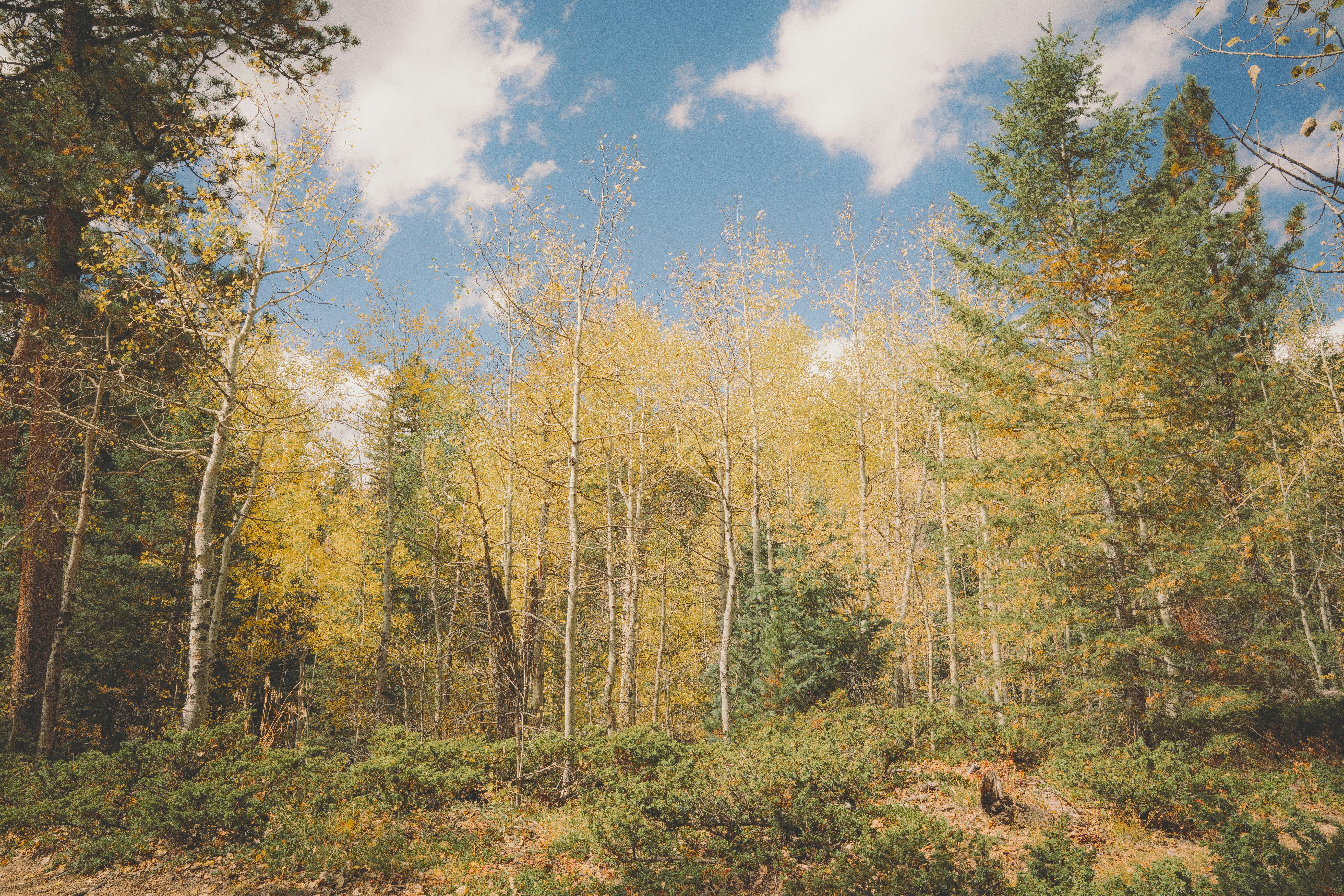 Photo by keepitchassephotography