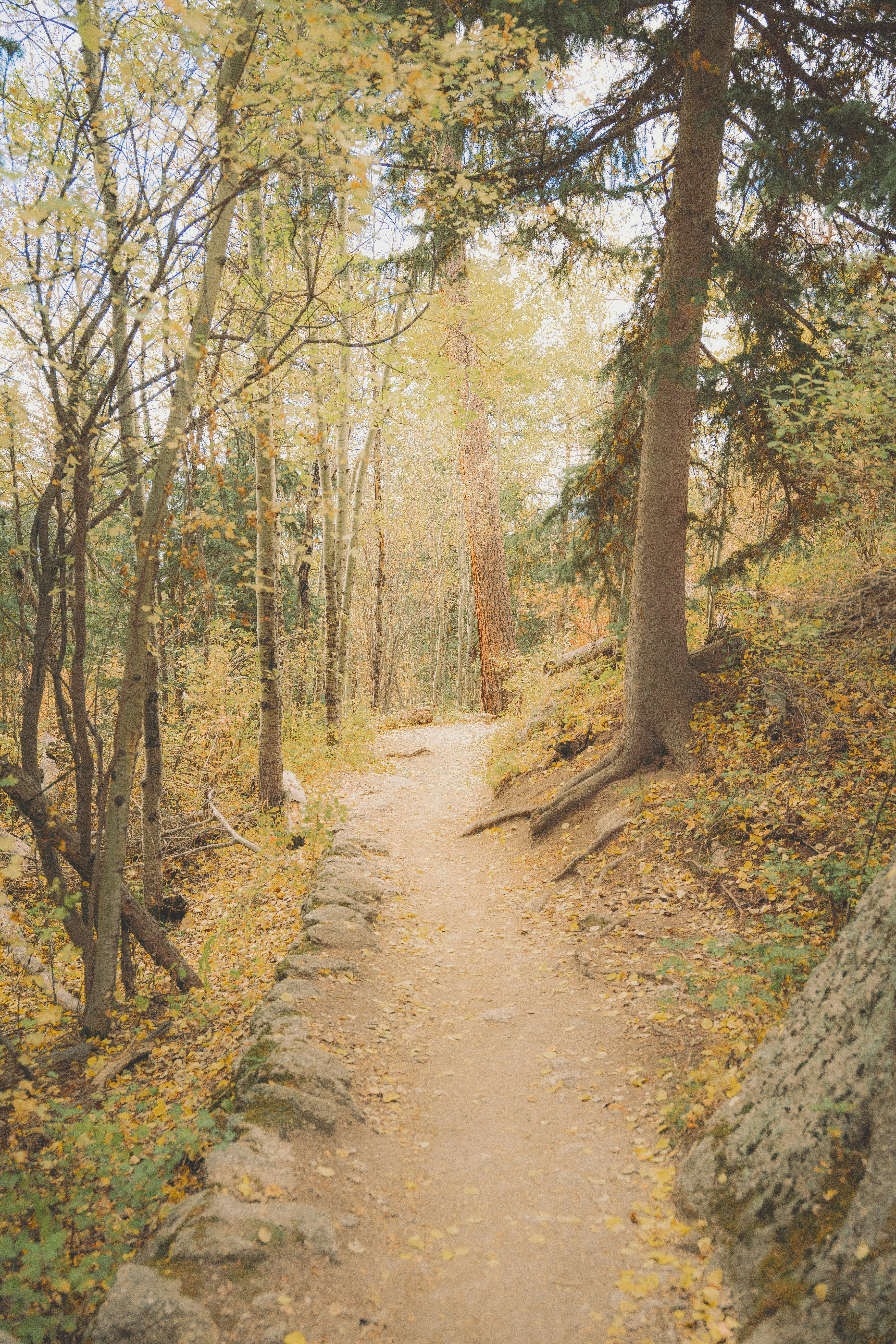 Photo by keepitchassephotography