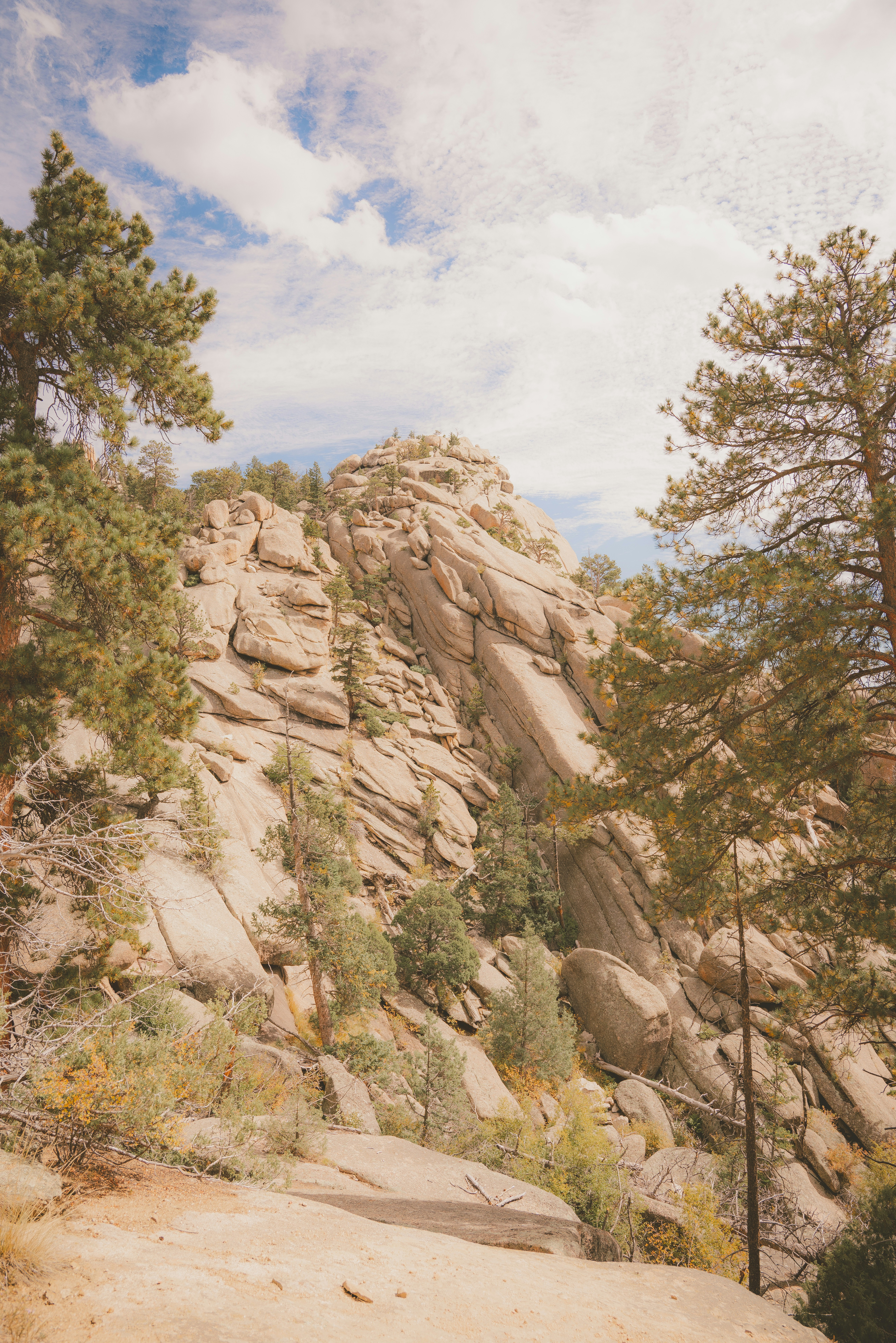 Photo by keepitchassephotography