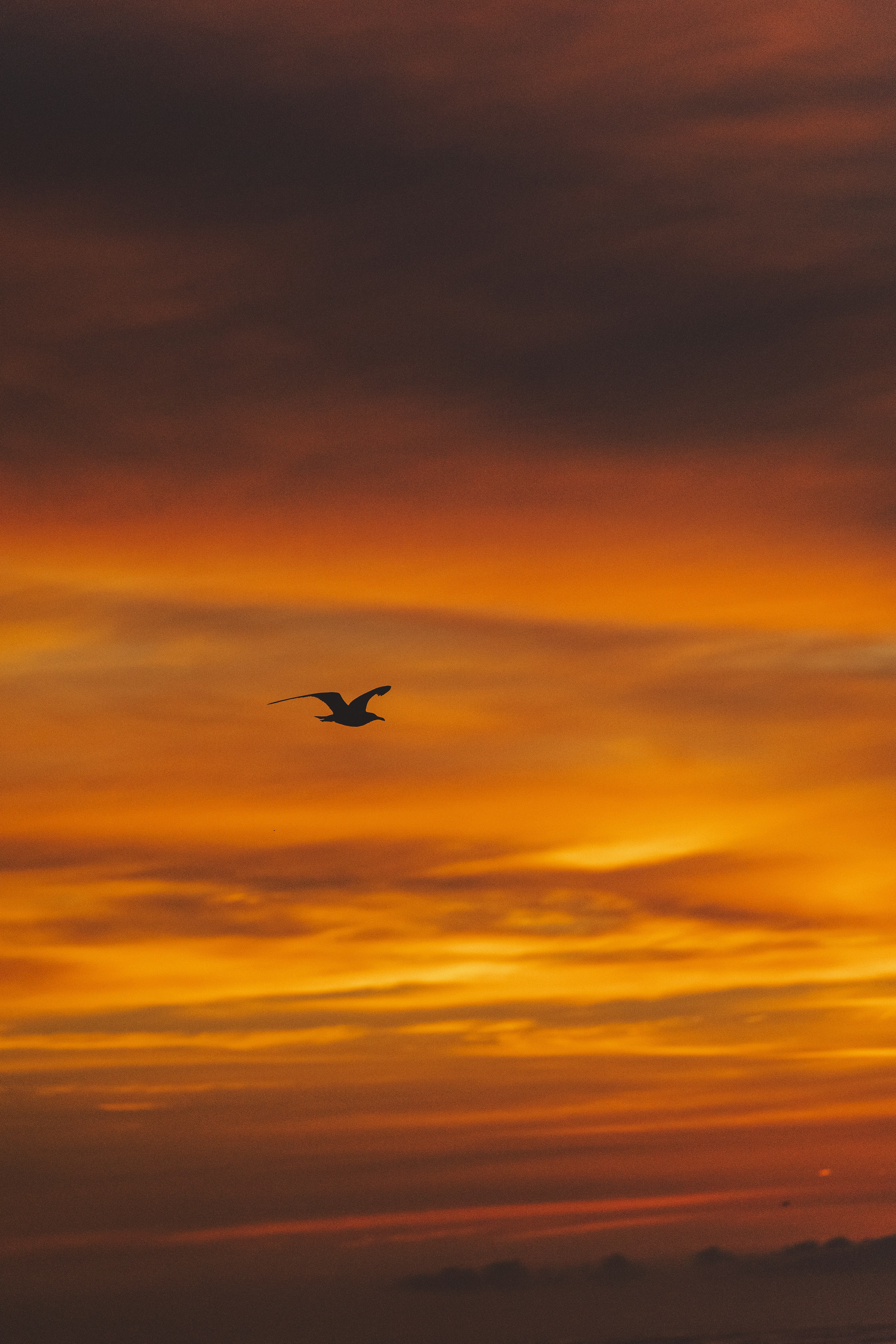 Photo by tfarrelljjr