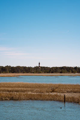 Virginia