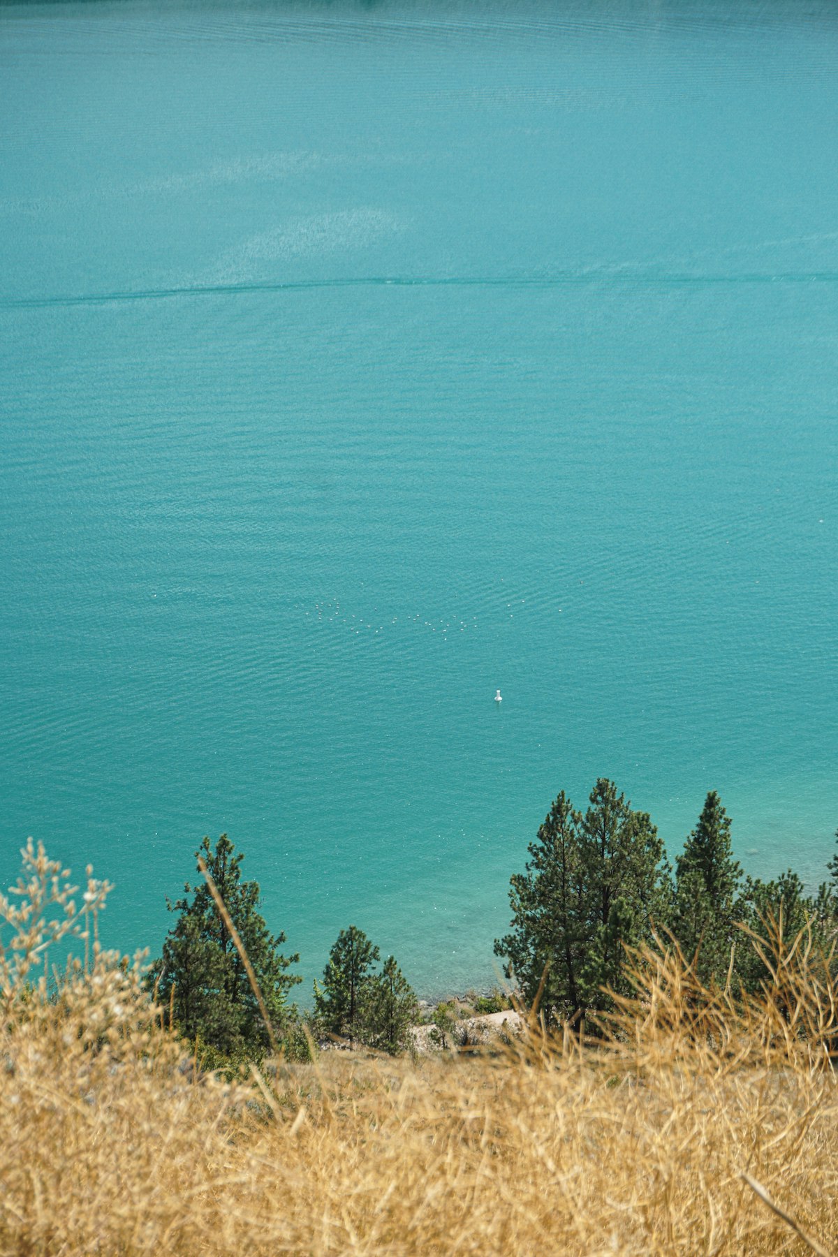 Rental Yield Math: Where BC Investors Win in 2026