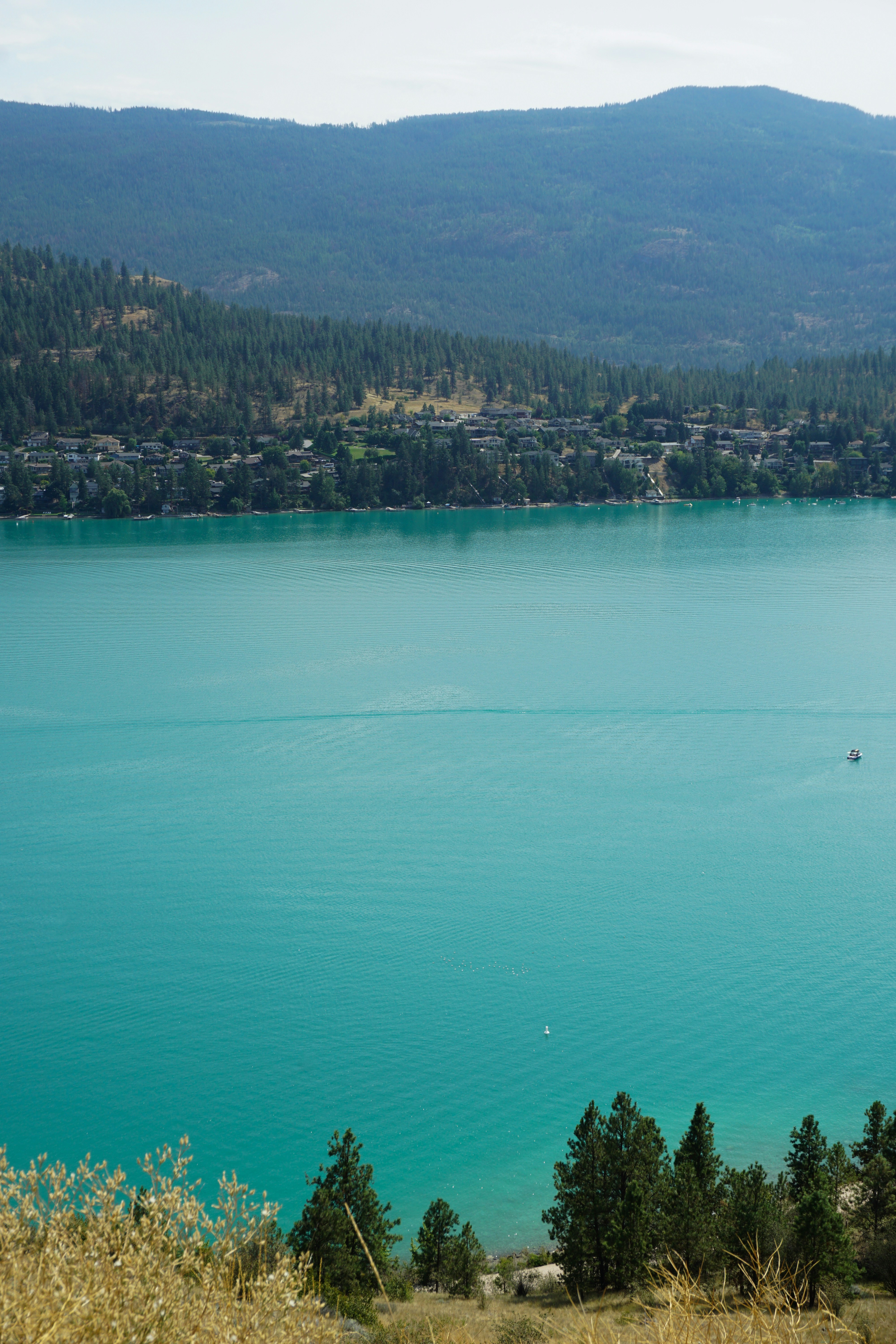 Point Vernon, Queensland