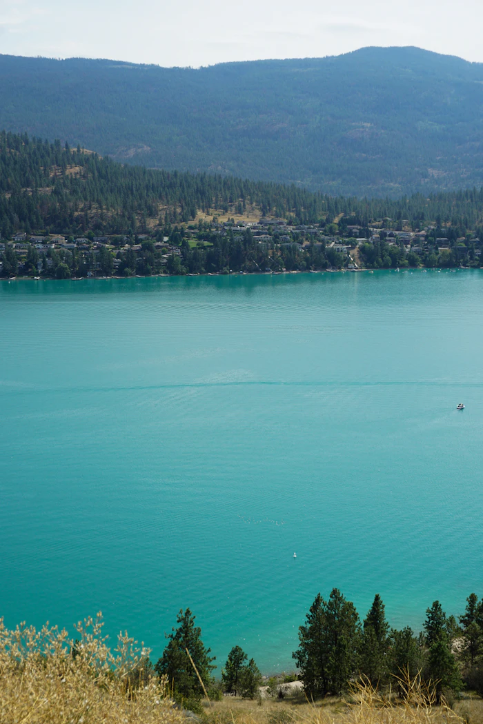 A turquoise lake below forested hills, seen from a lawn above the shore