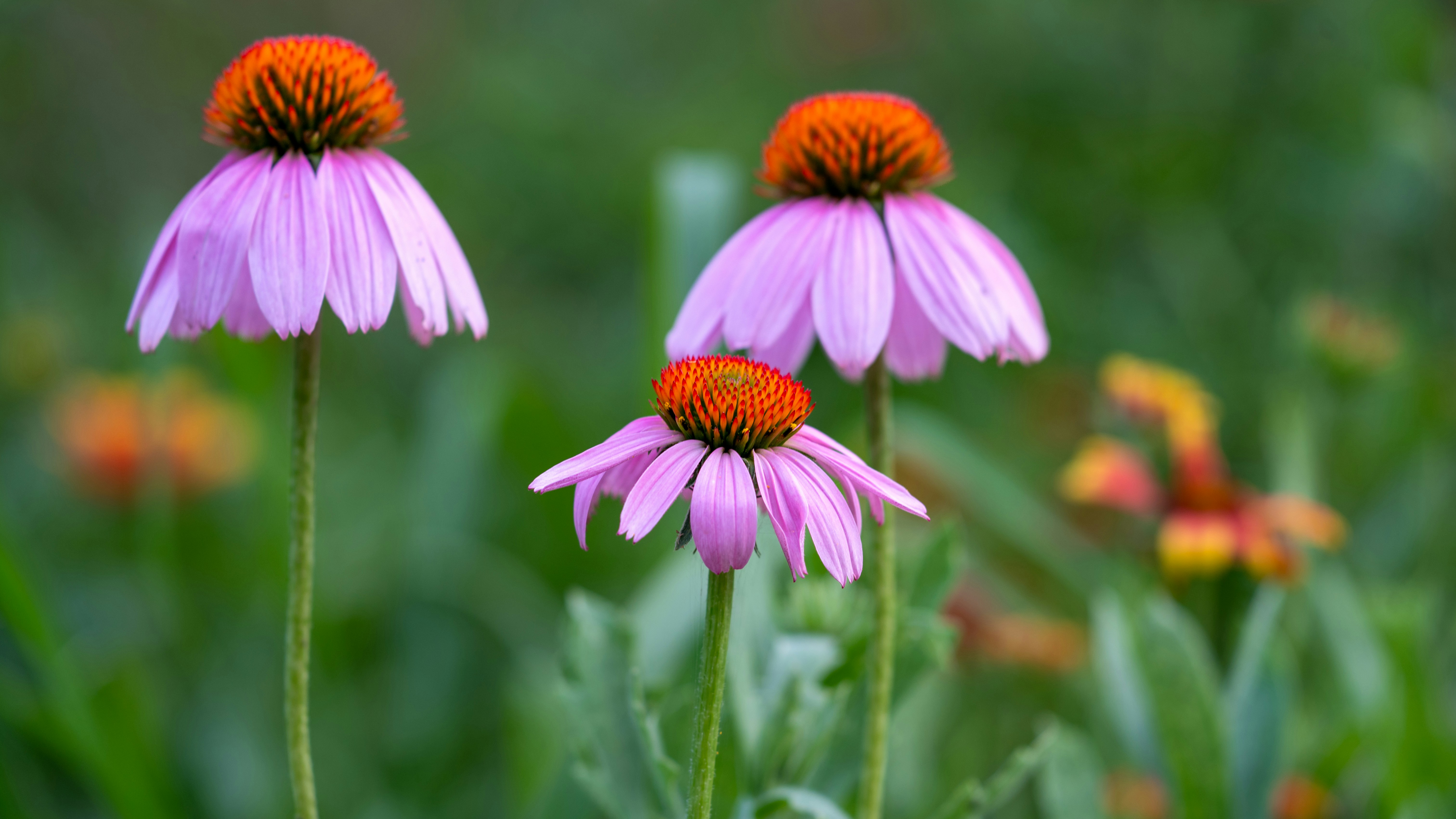 Photo by tobydagenhart