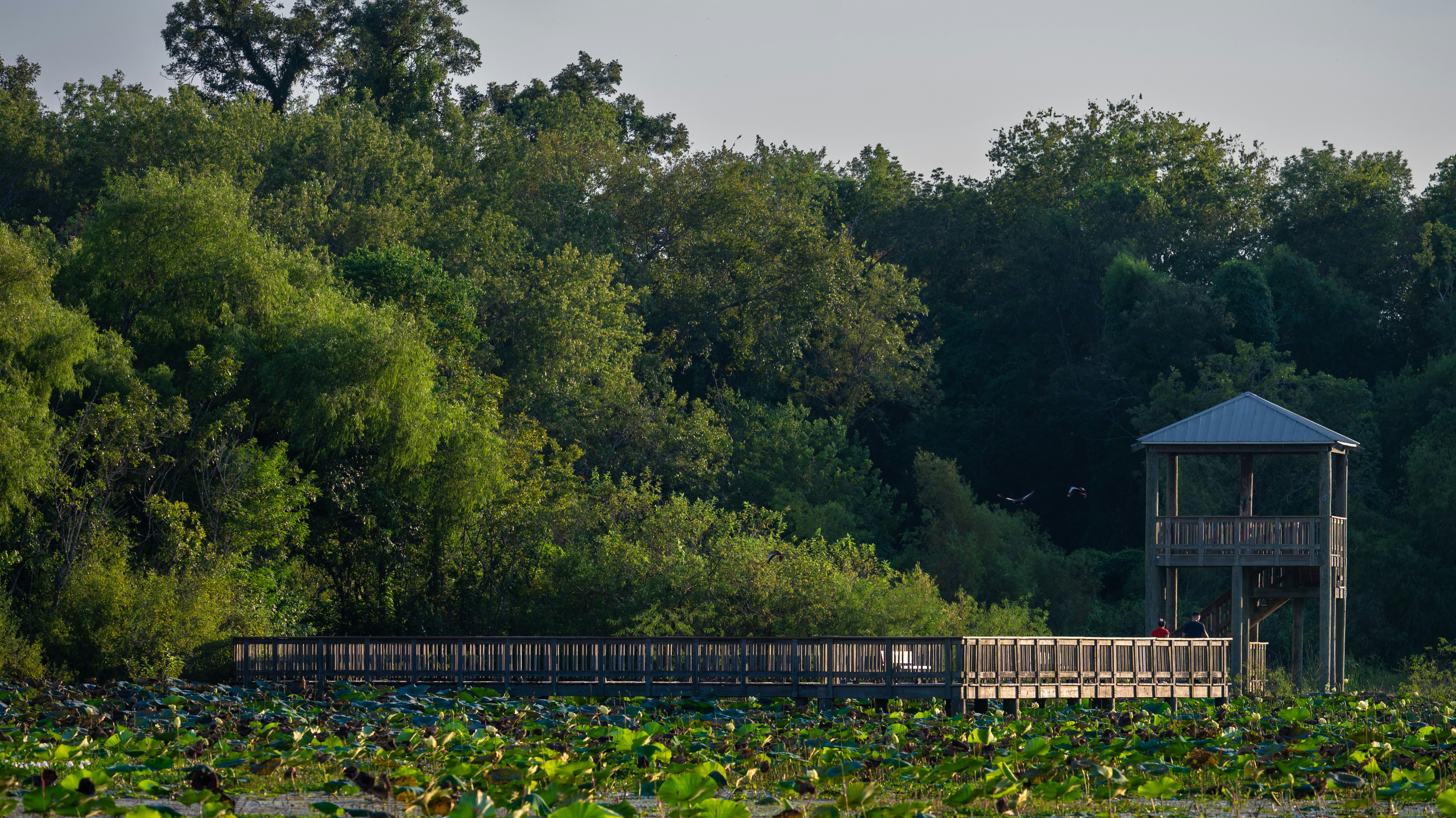 Photo by tobydagenhart