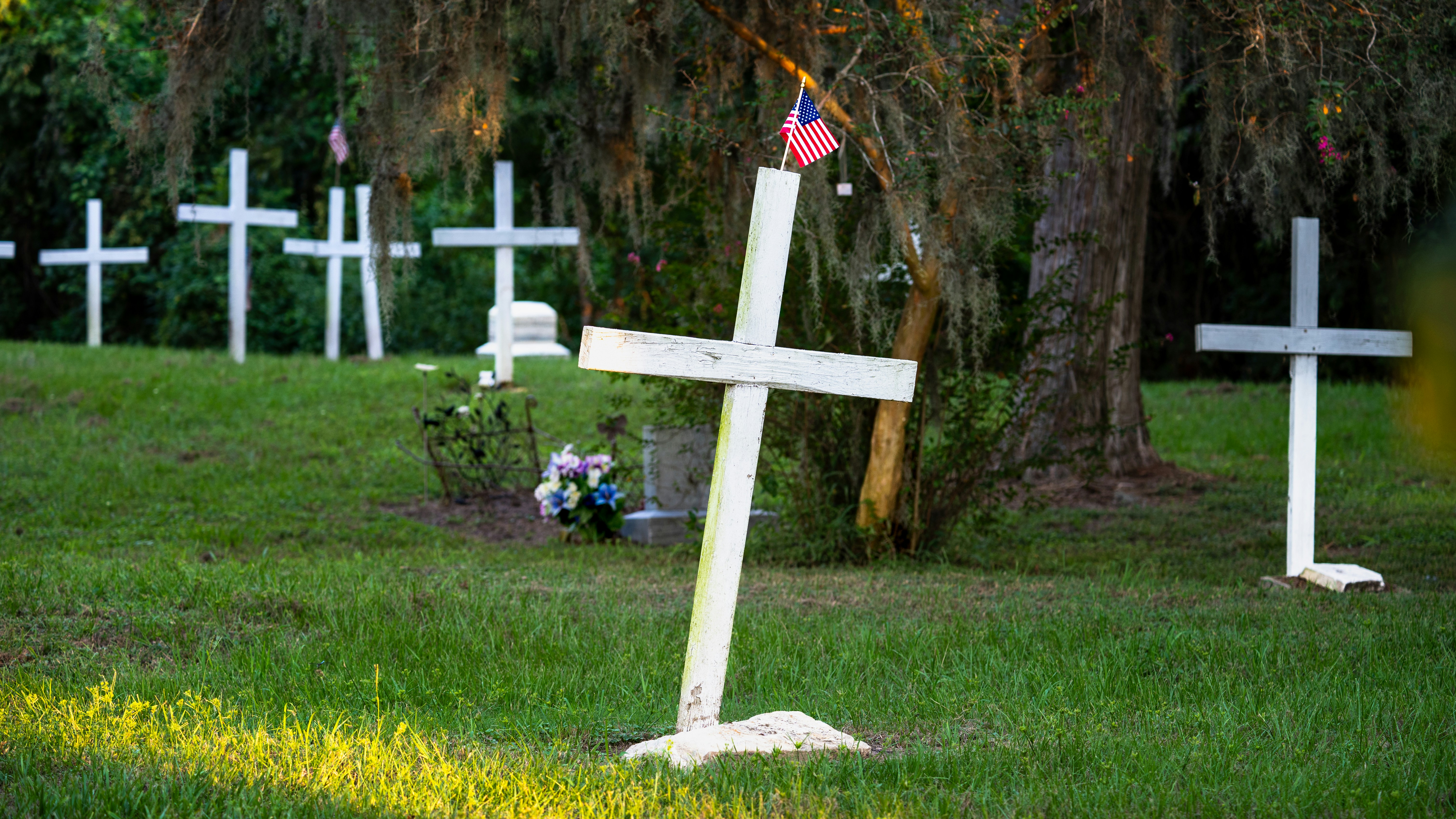 A group of crosses that are in the grass