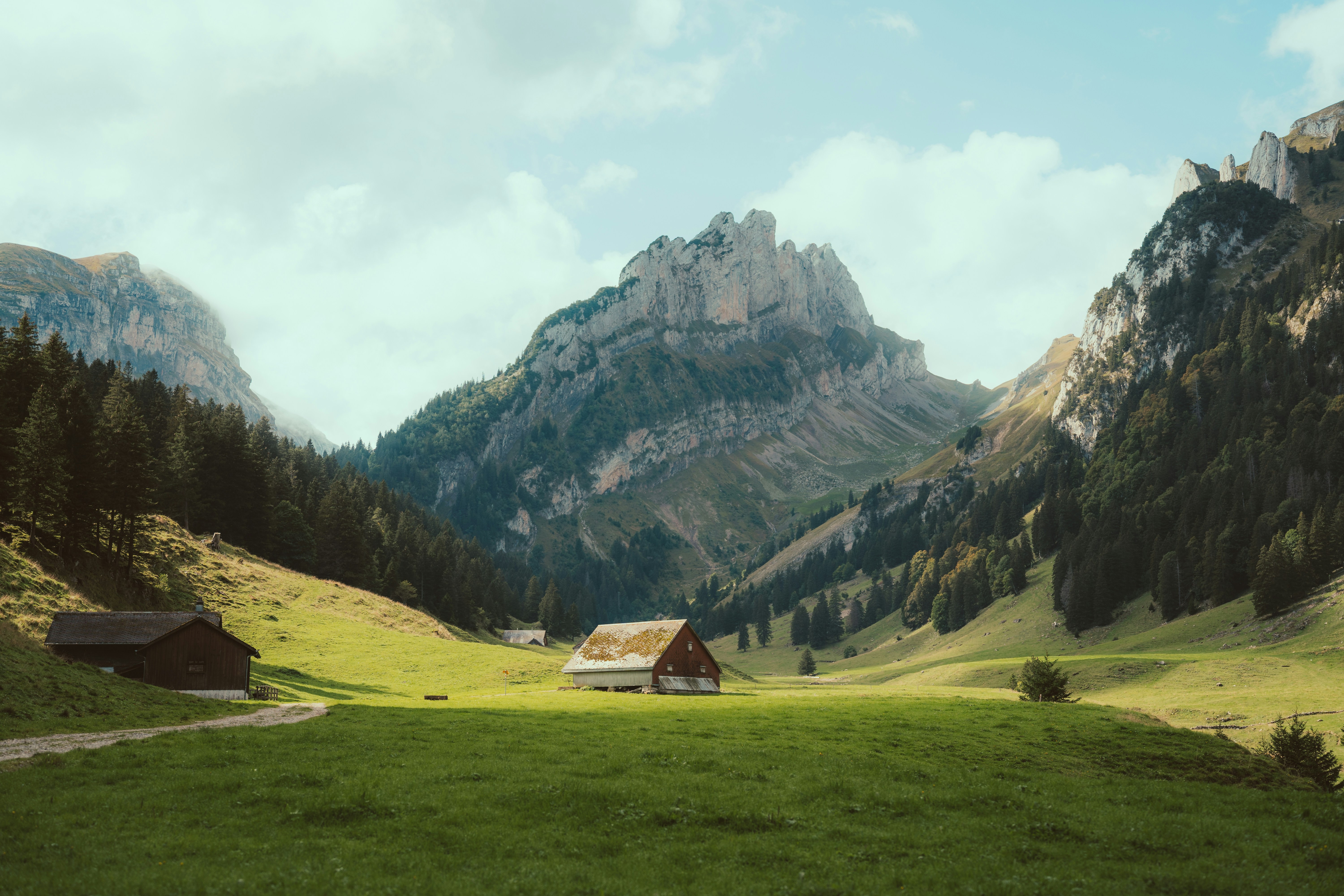 A grassy field with a house in the middle of it
