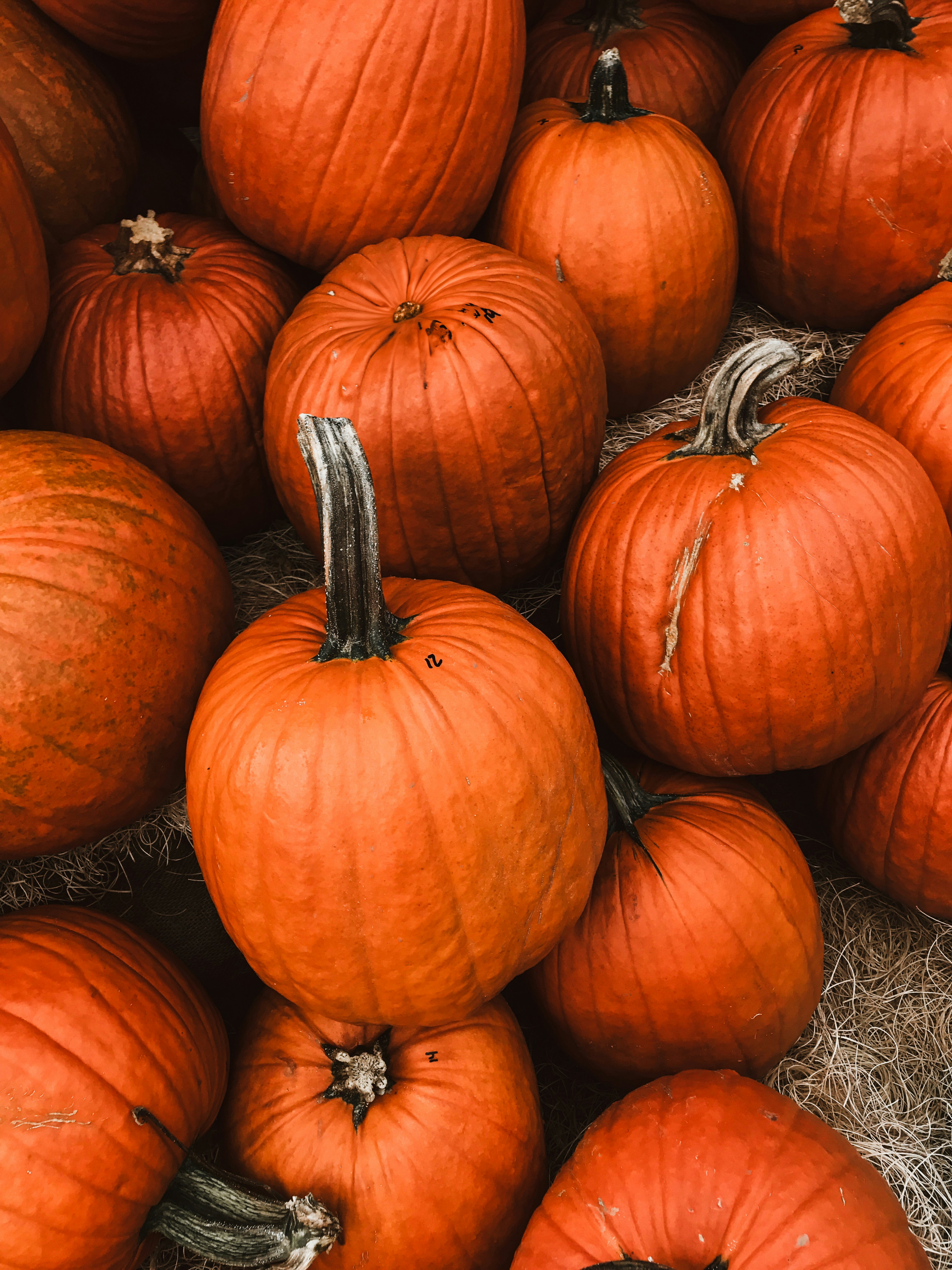 A pile of orange pumpkins sitting next to each other
