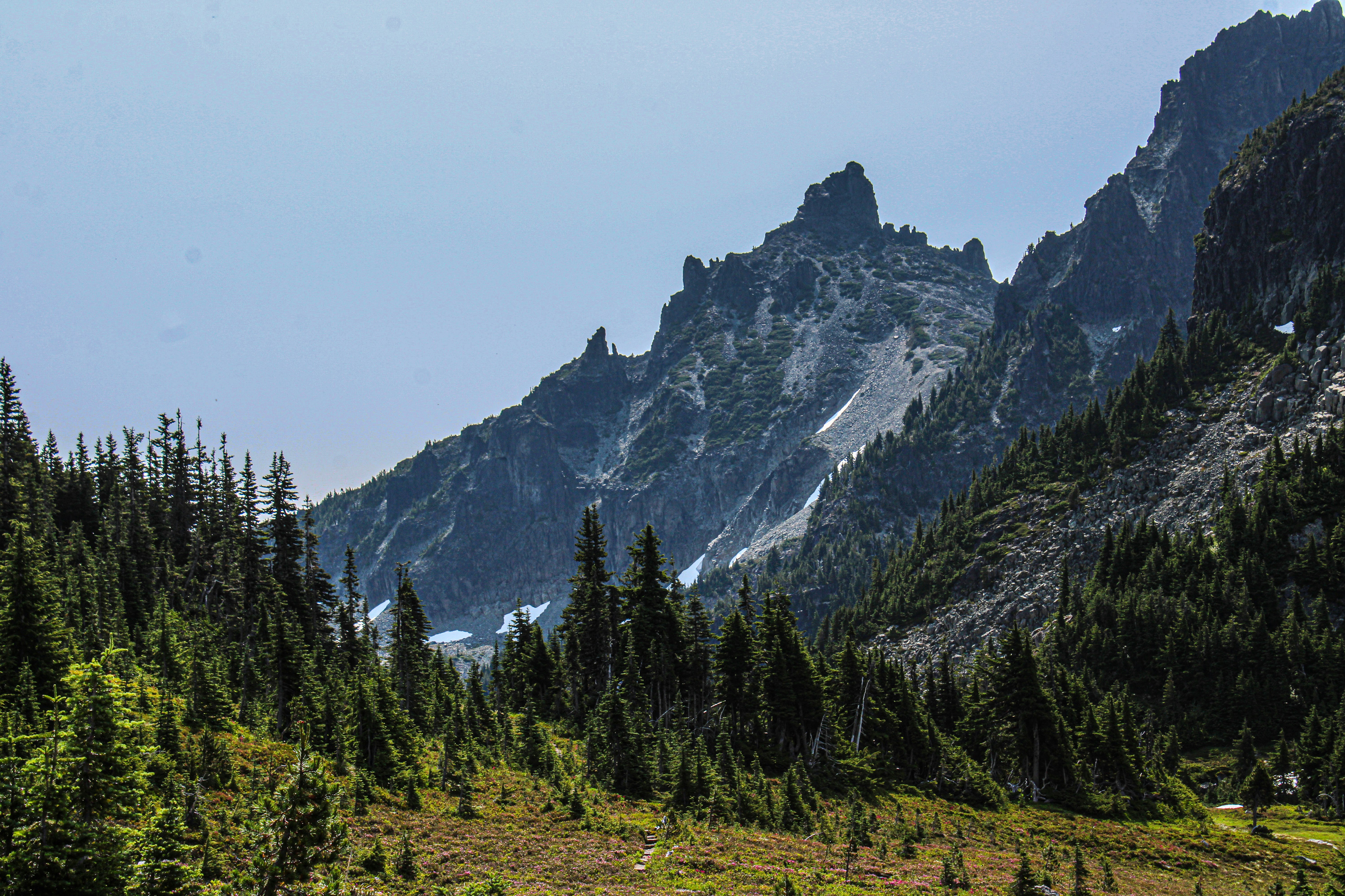 Photo by prphotography262