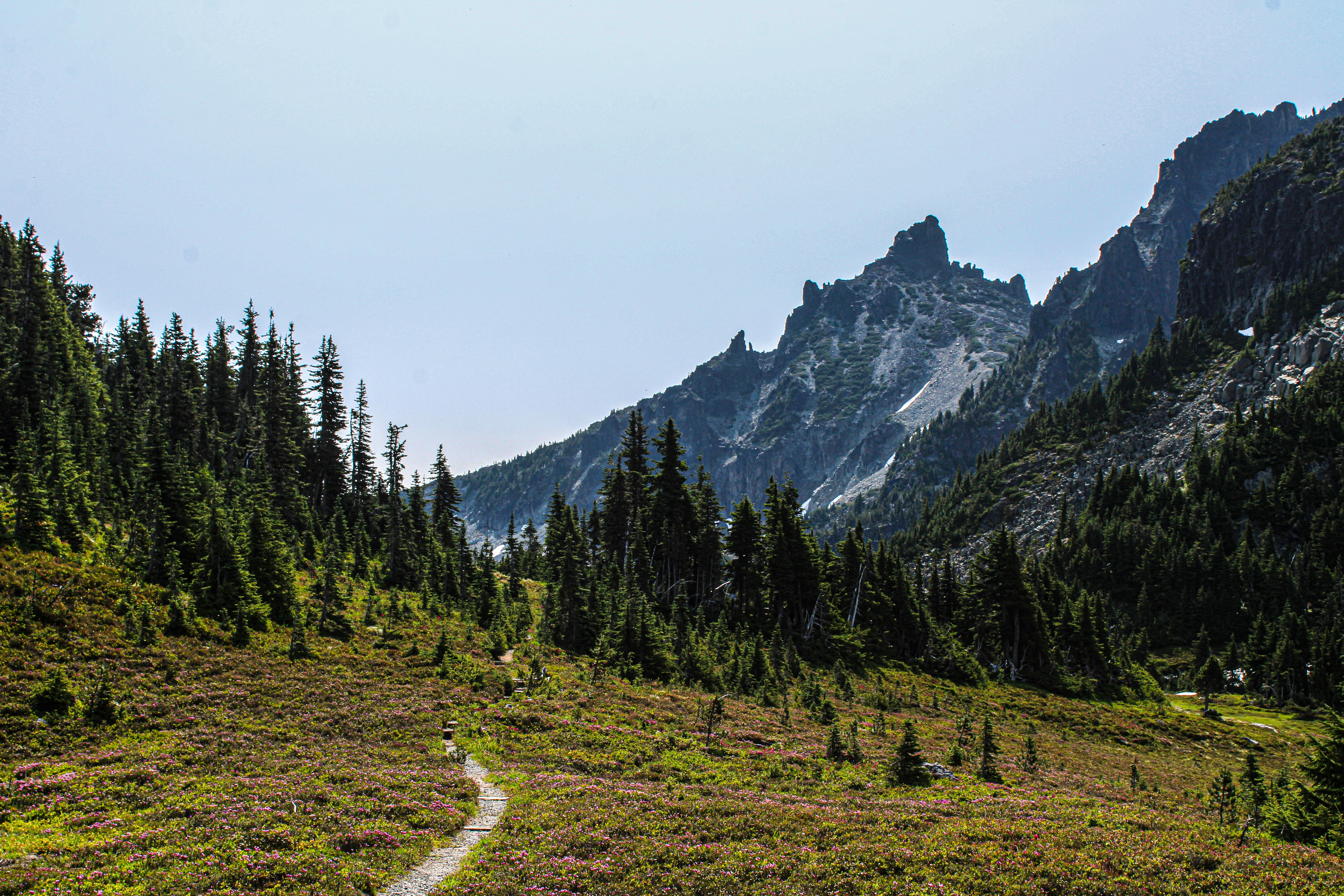 Photo by prphotography262