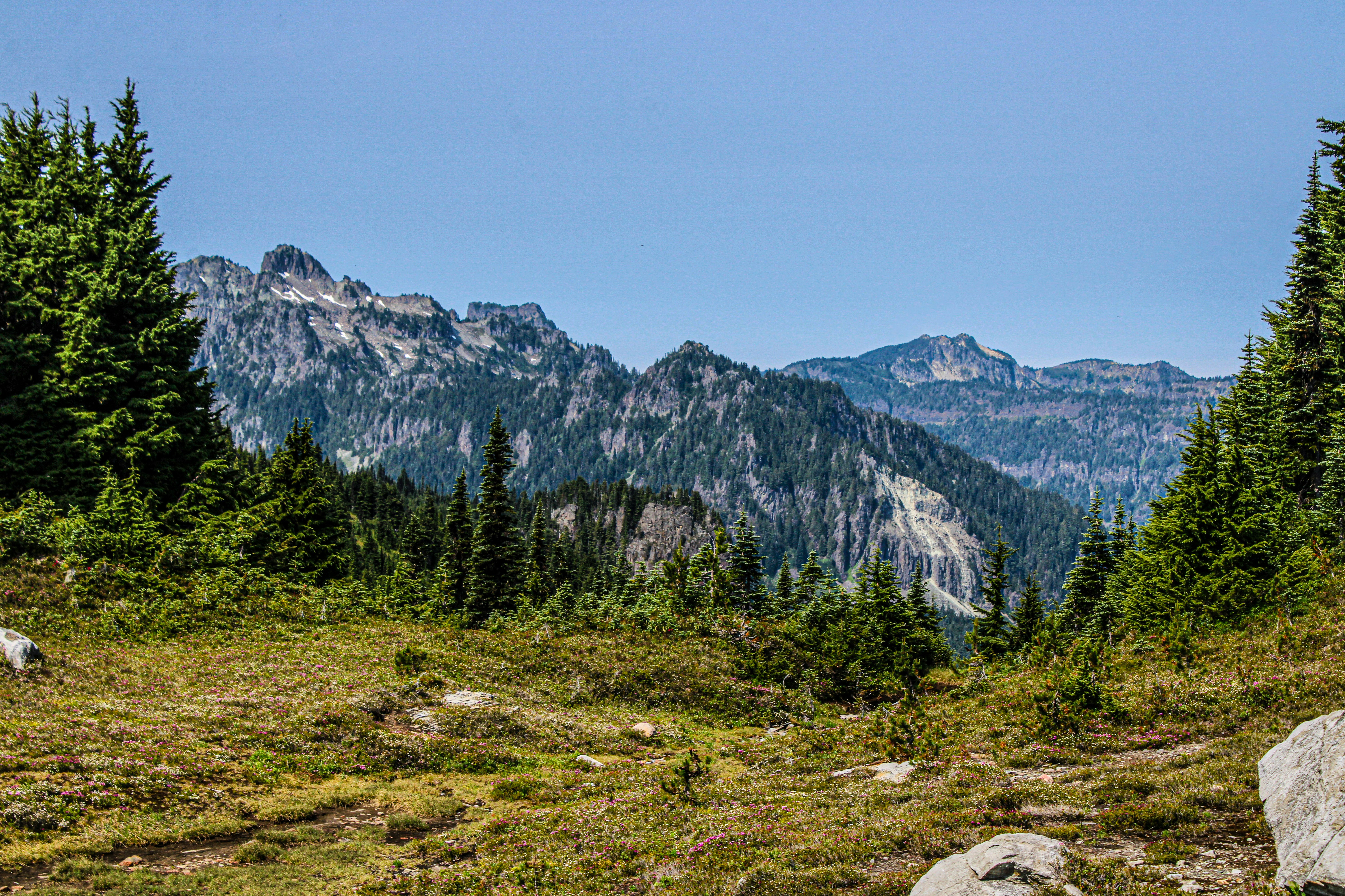 Photo by prphotography262