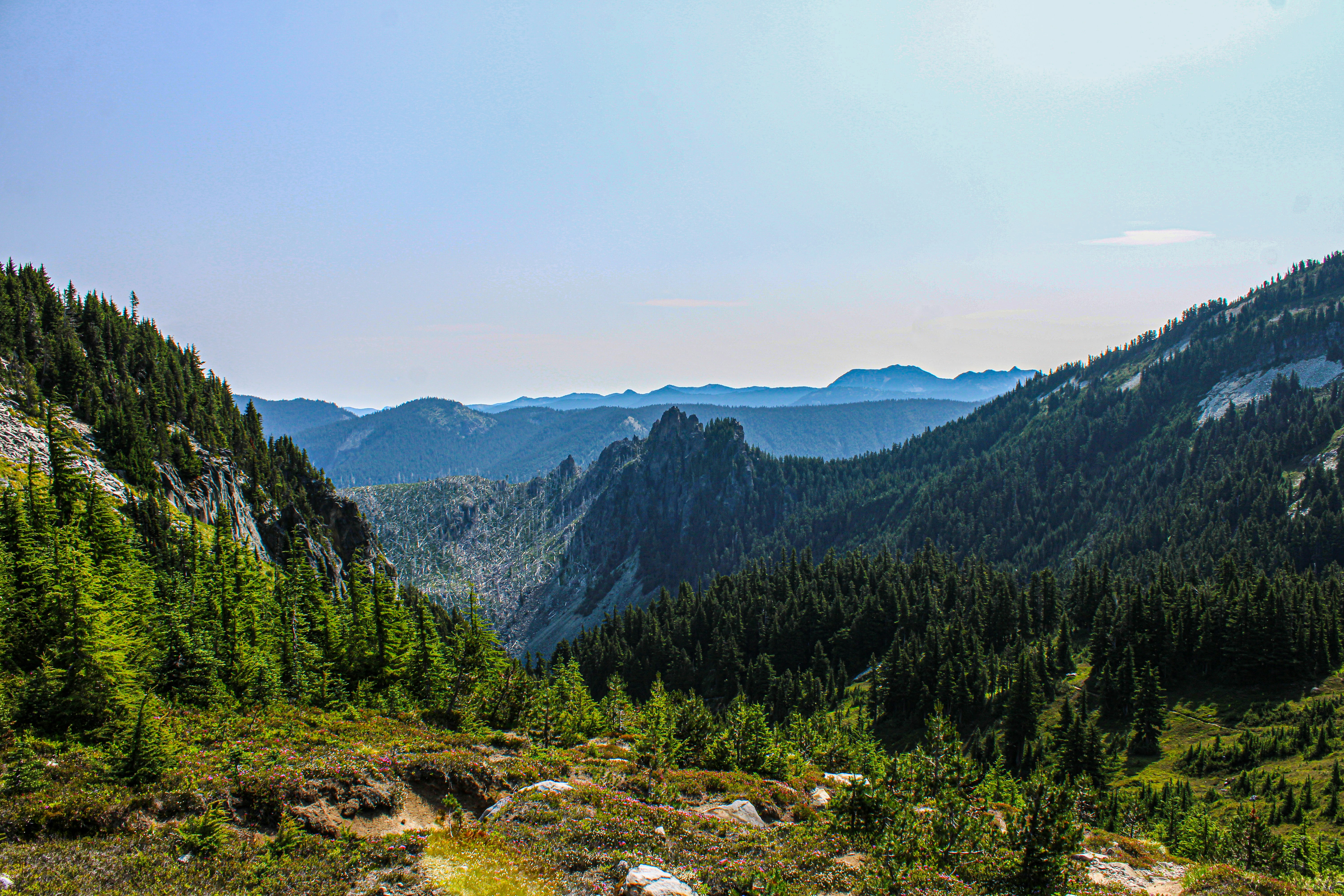 Photo by prphotography262