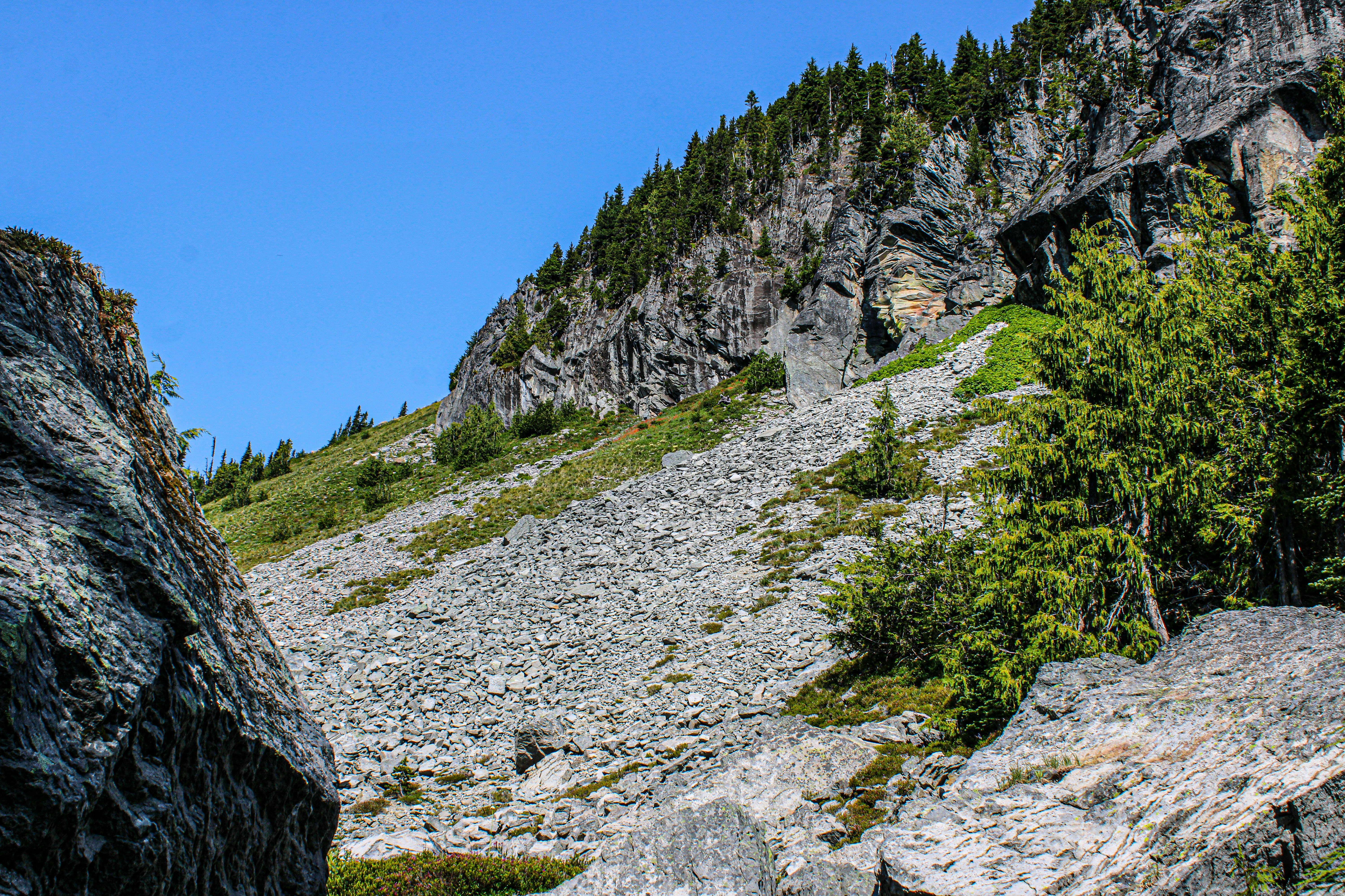 Photo by prphotography262