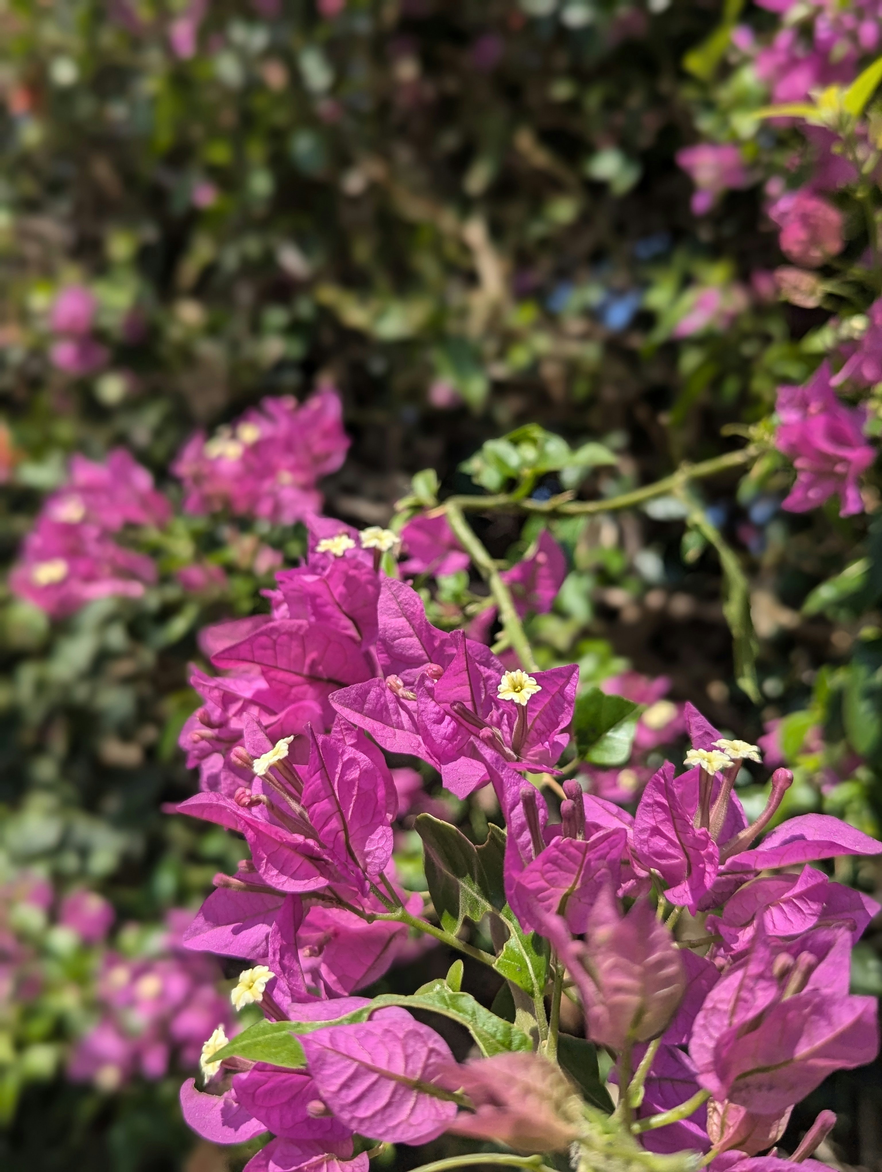 Photo by jasongibson