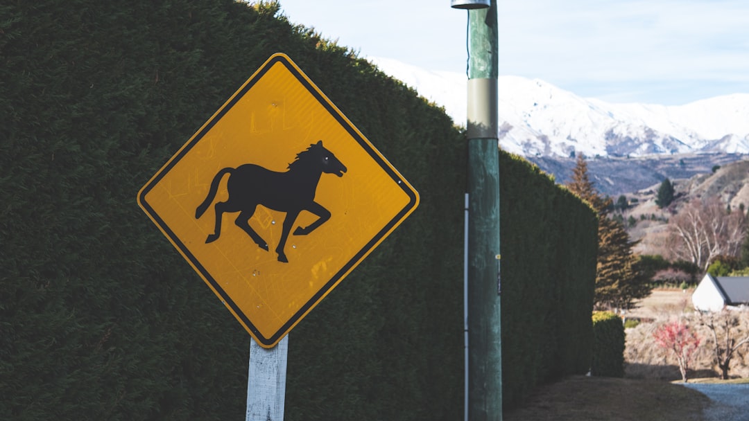 rural Lancaster road with a horse and buggy sign - Auto accident attorney Lancaster PA rural Lancaster road with a horse and buggy sign - Auto accident attorney Lancaster PA
