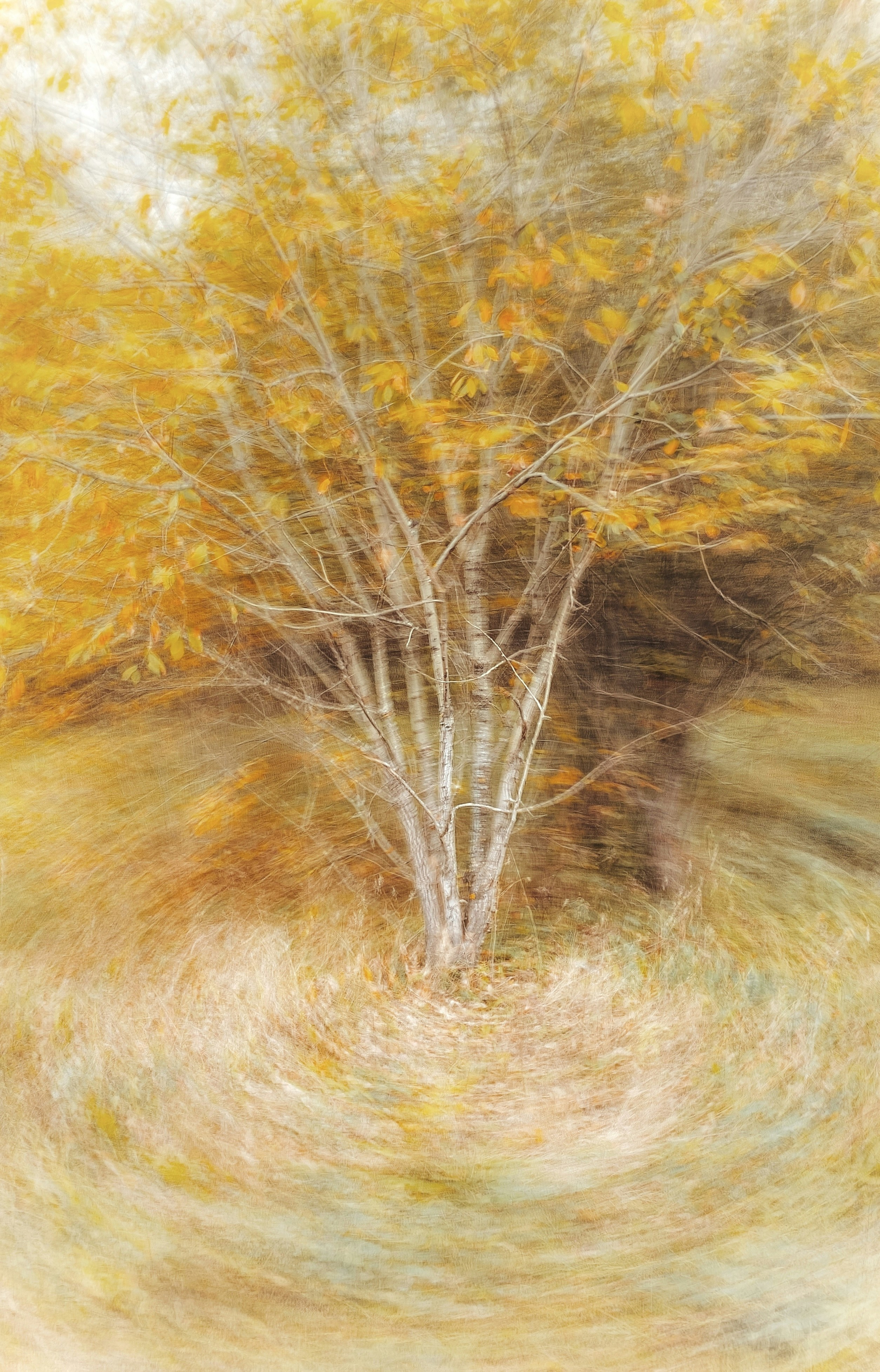 Photo by eugene_golovesov