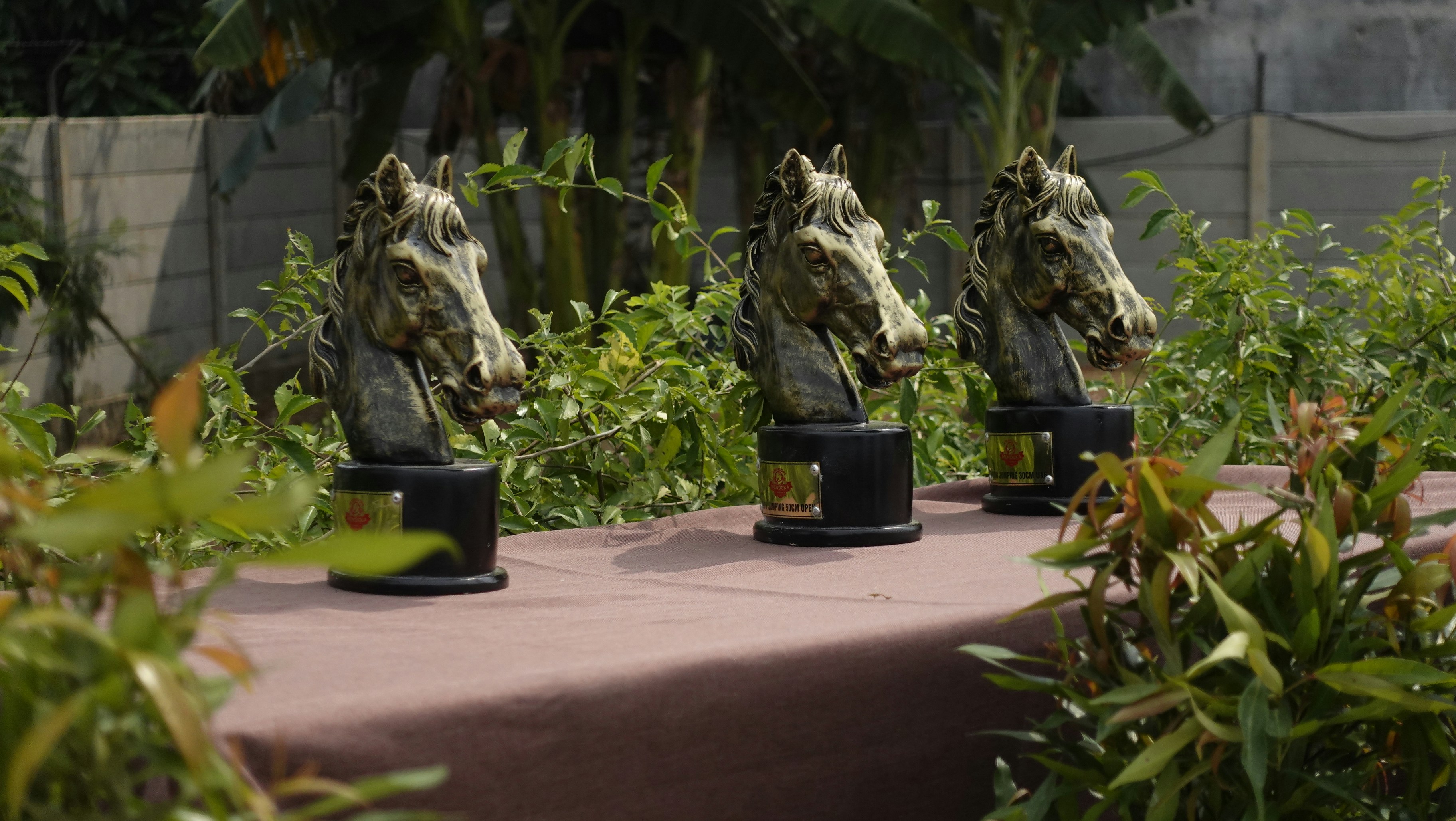 Horseback Riding Competition Trophy