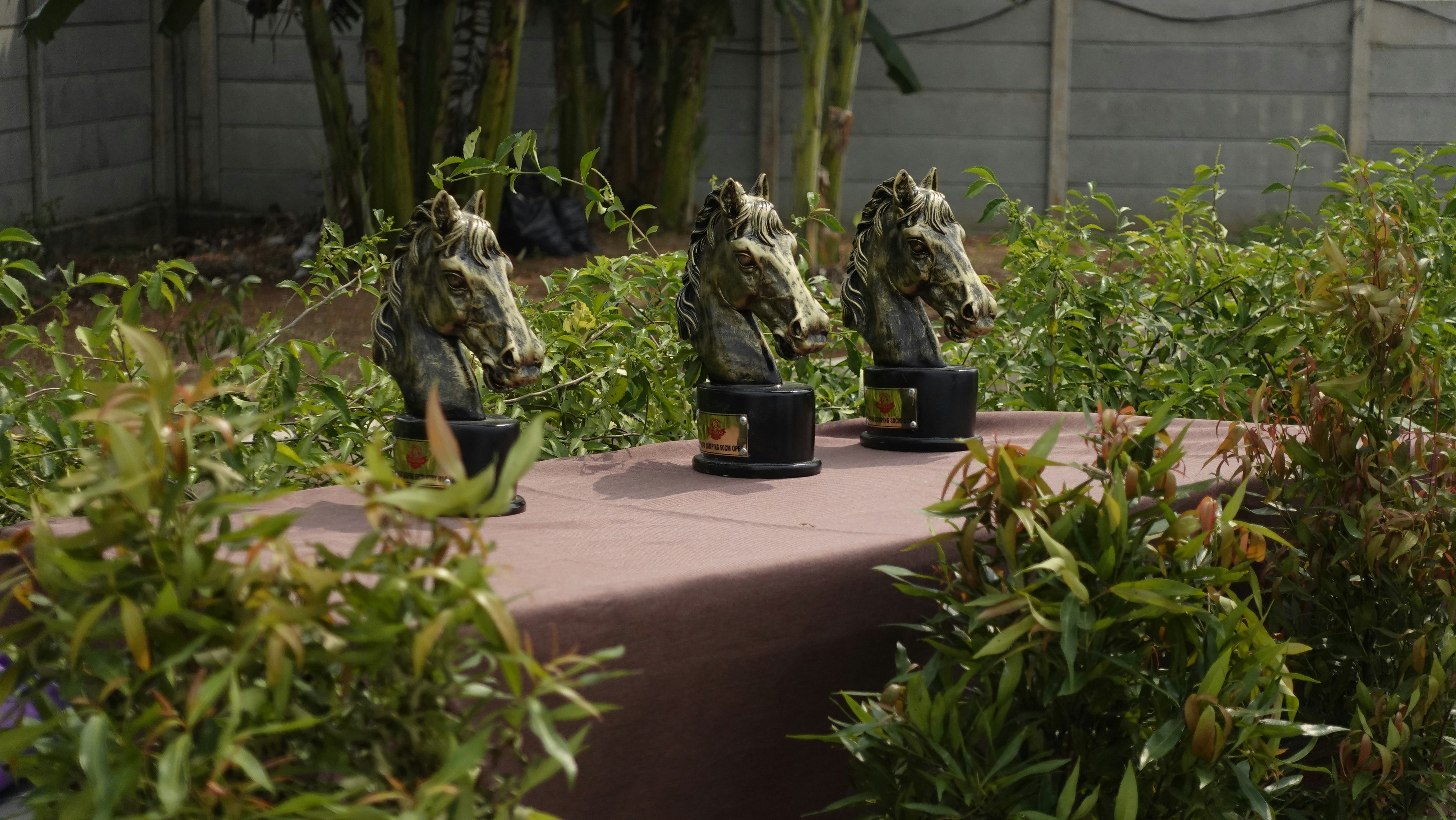 Japonská armáda a meniac sa svet