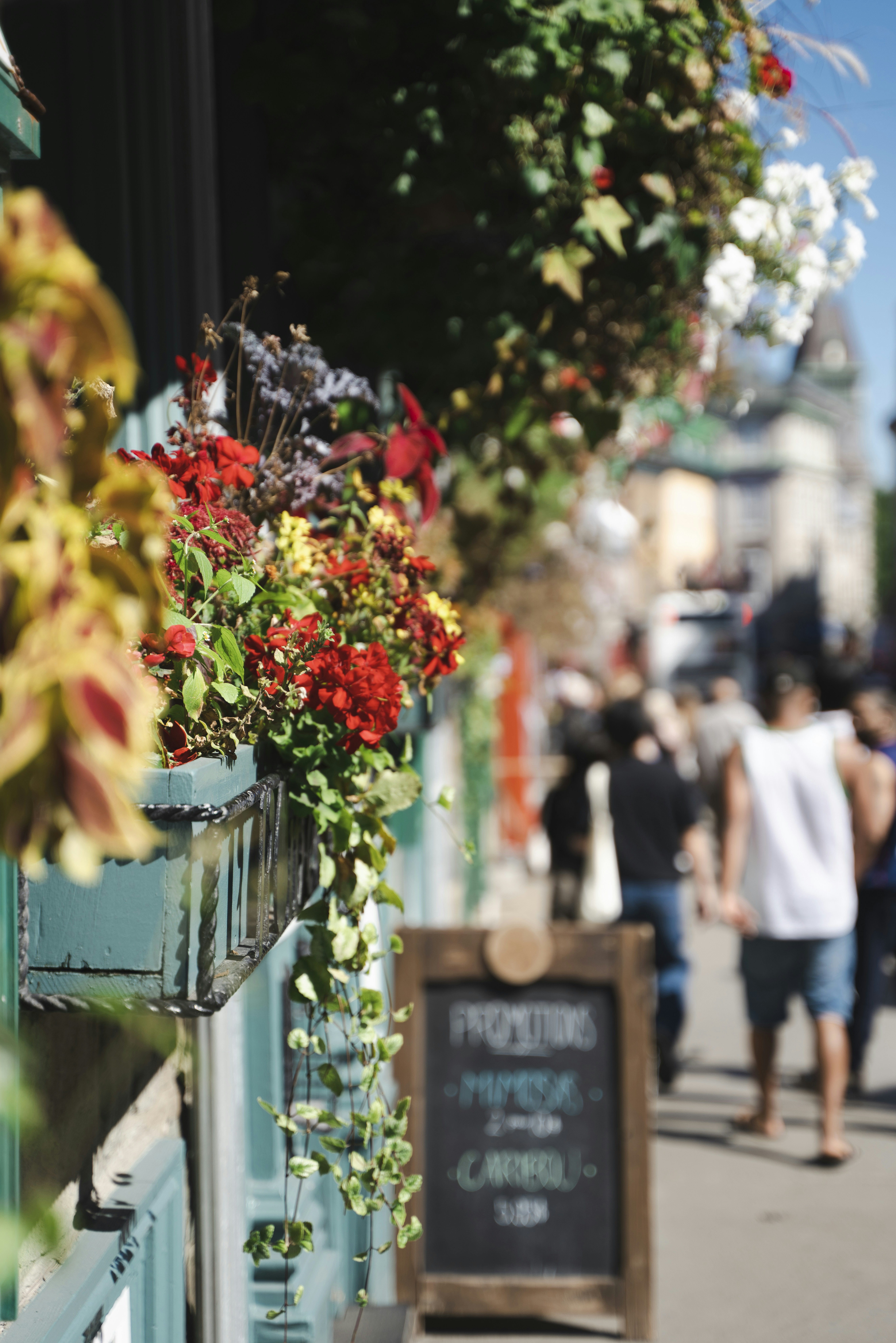 Photo by superxcalvin