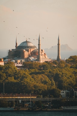 A view of a large building with many spires