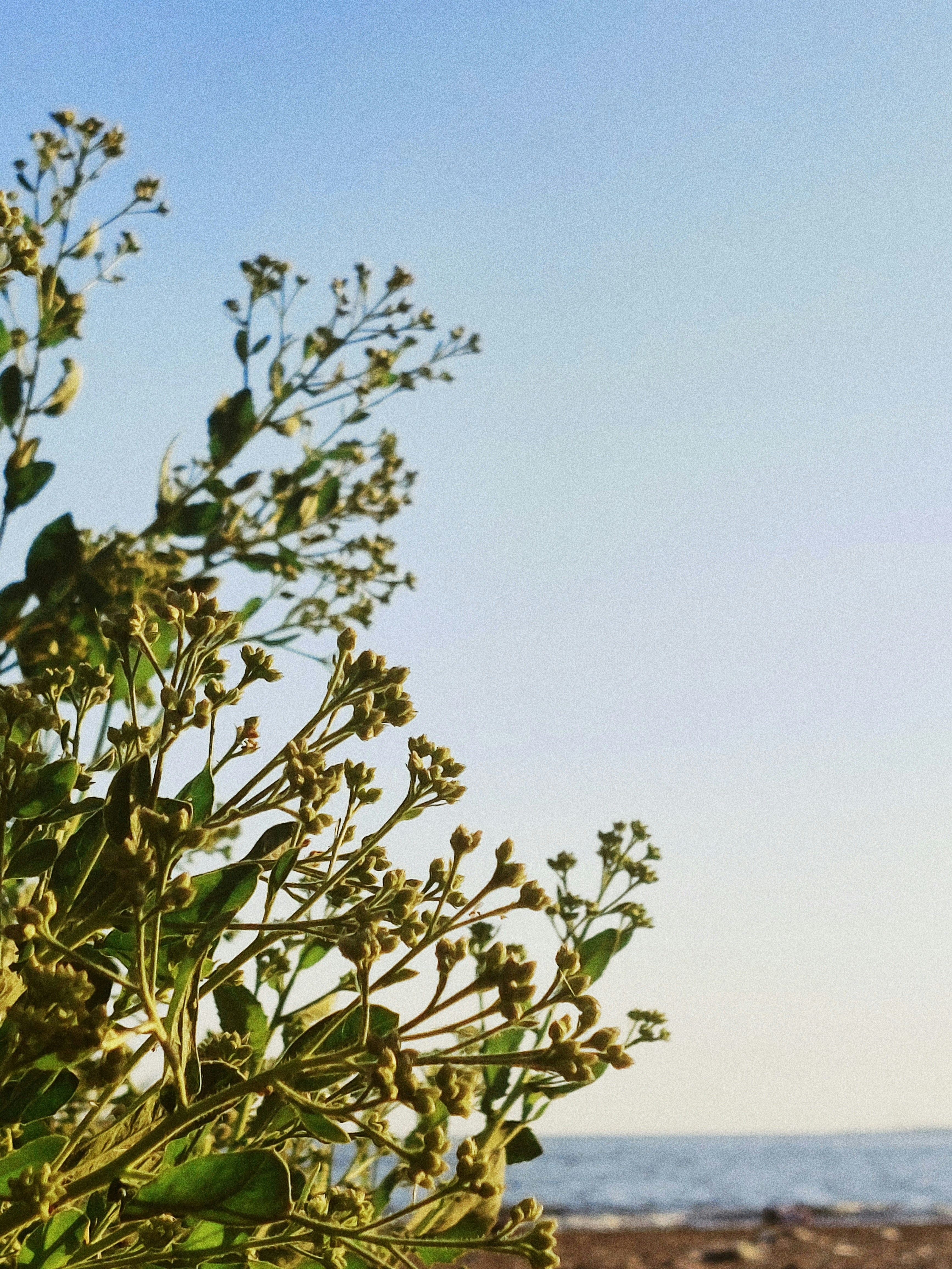 Photo by khalednader47