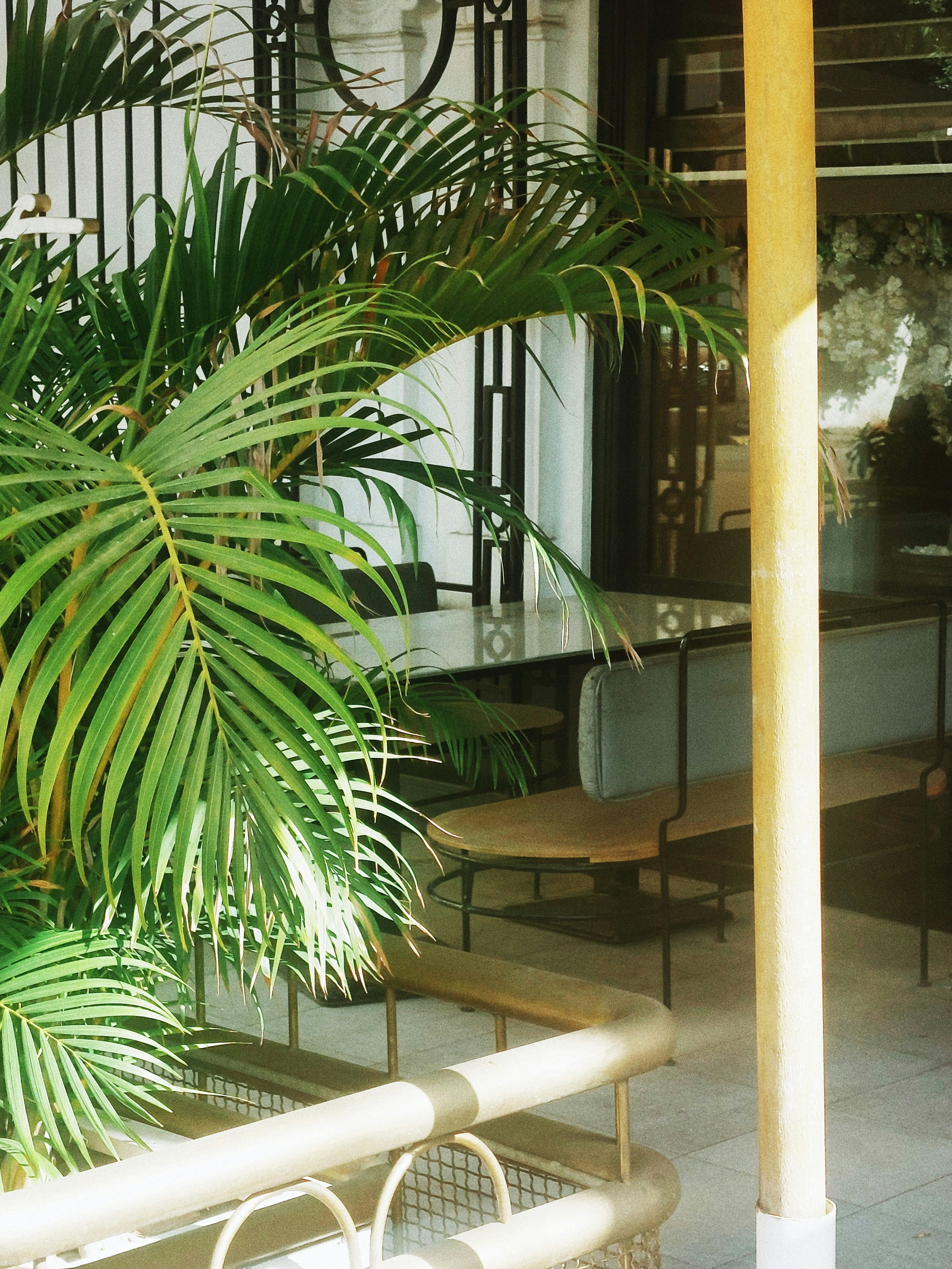 7 Tropical Summer Lakehouse Tablescape Themes