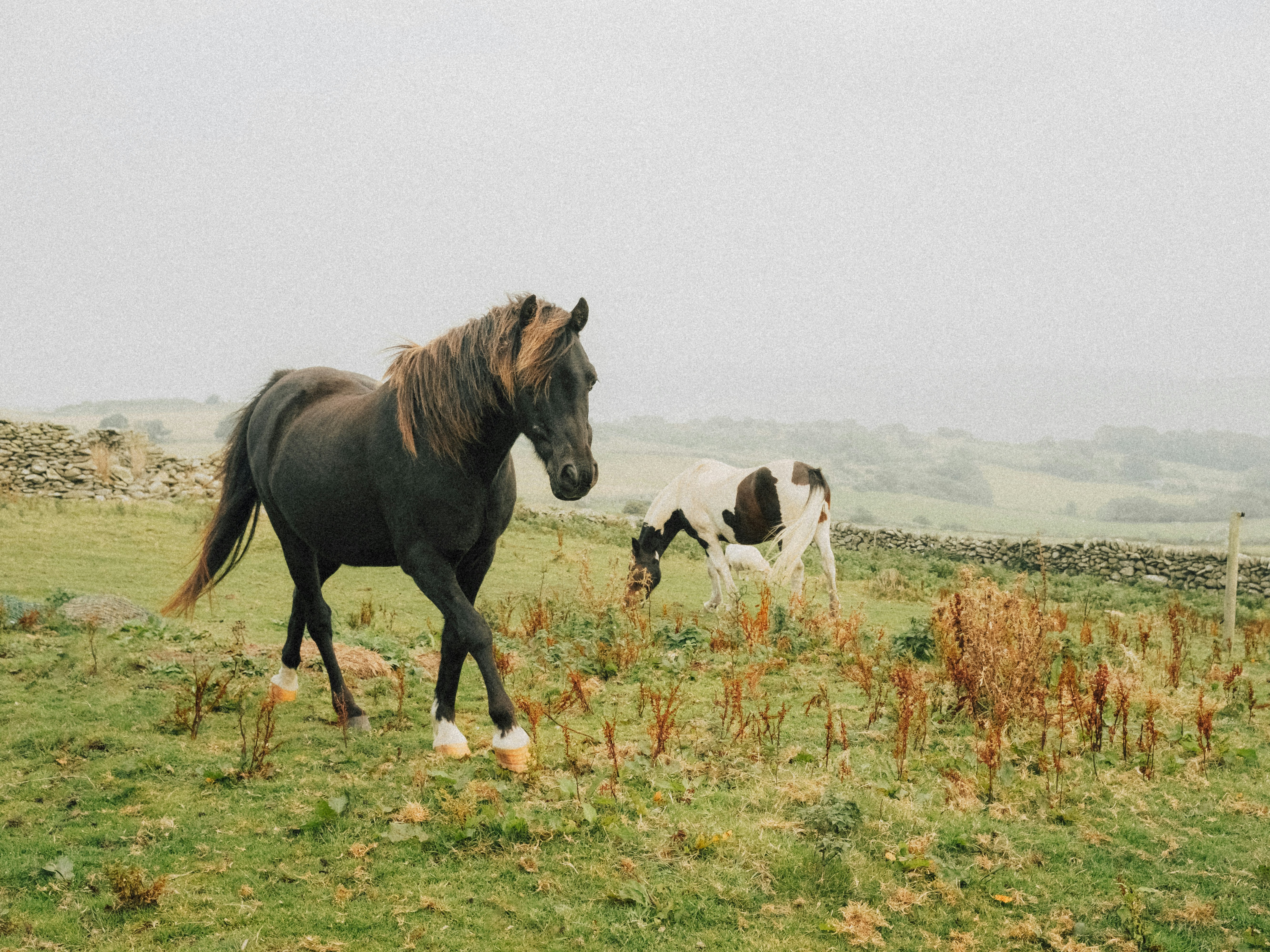 The Evolutionary Advantage of Emotional Reading (image credits: unsplash)