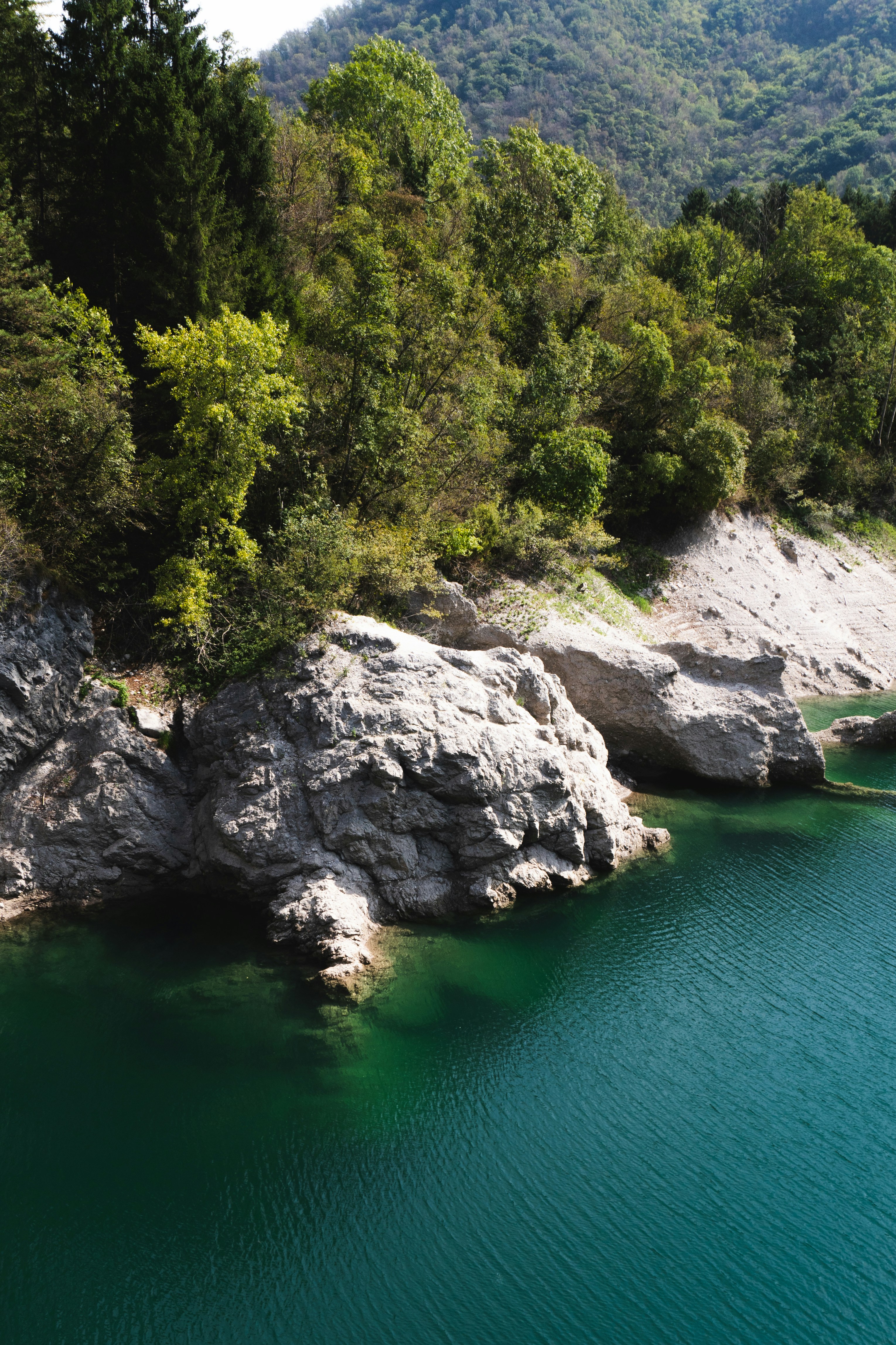 Photo by bejenarualberto