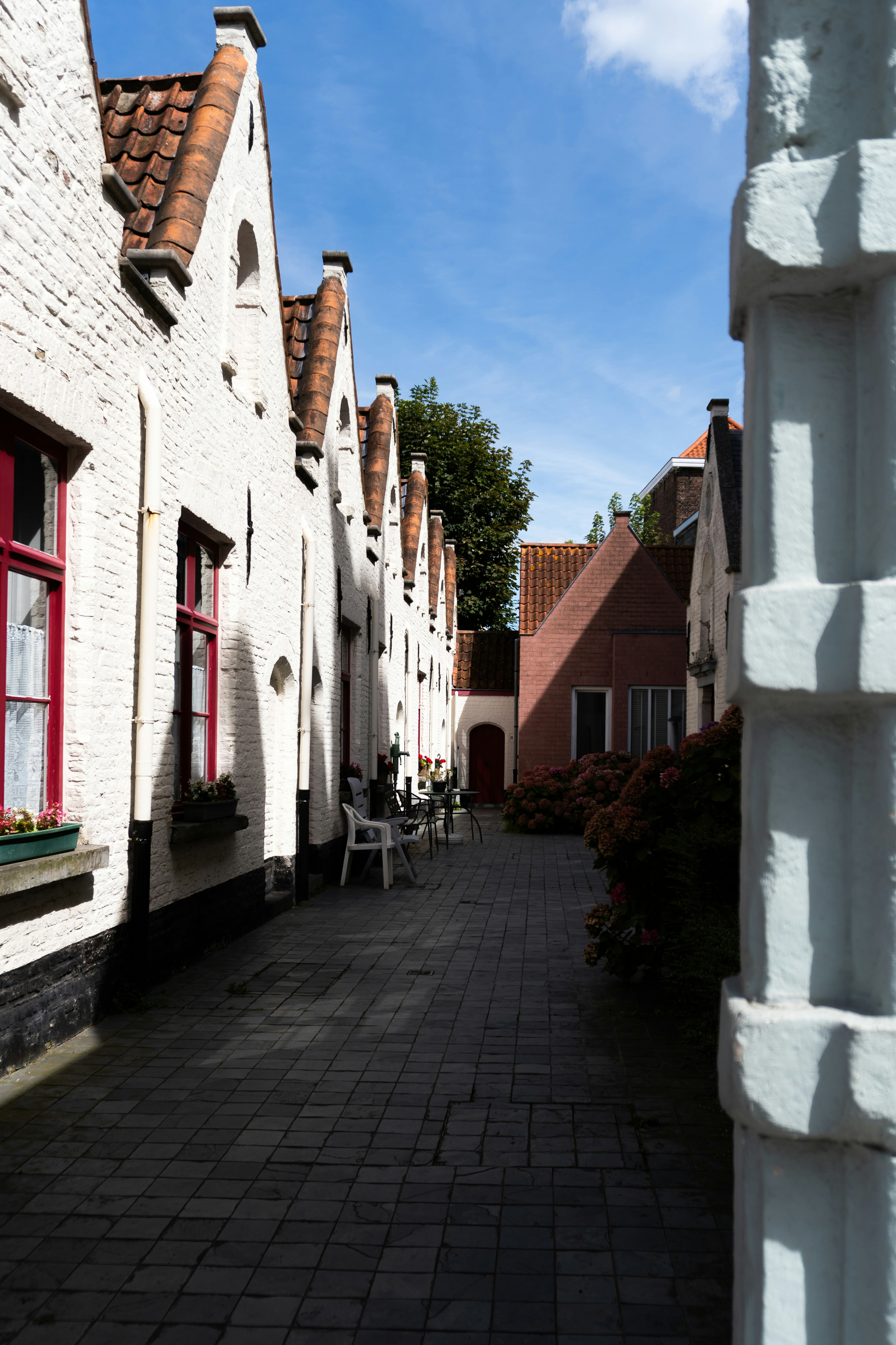 Photo by bejenarualberto