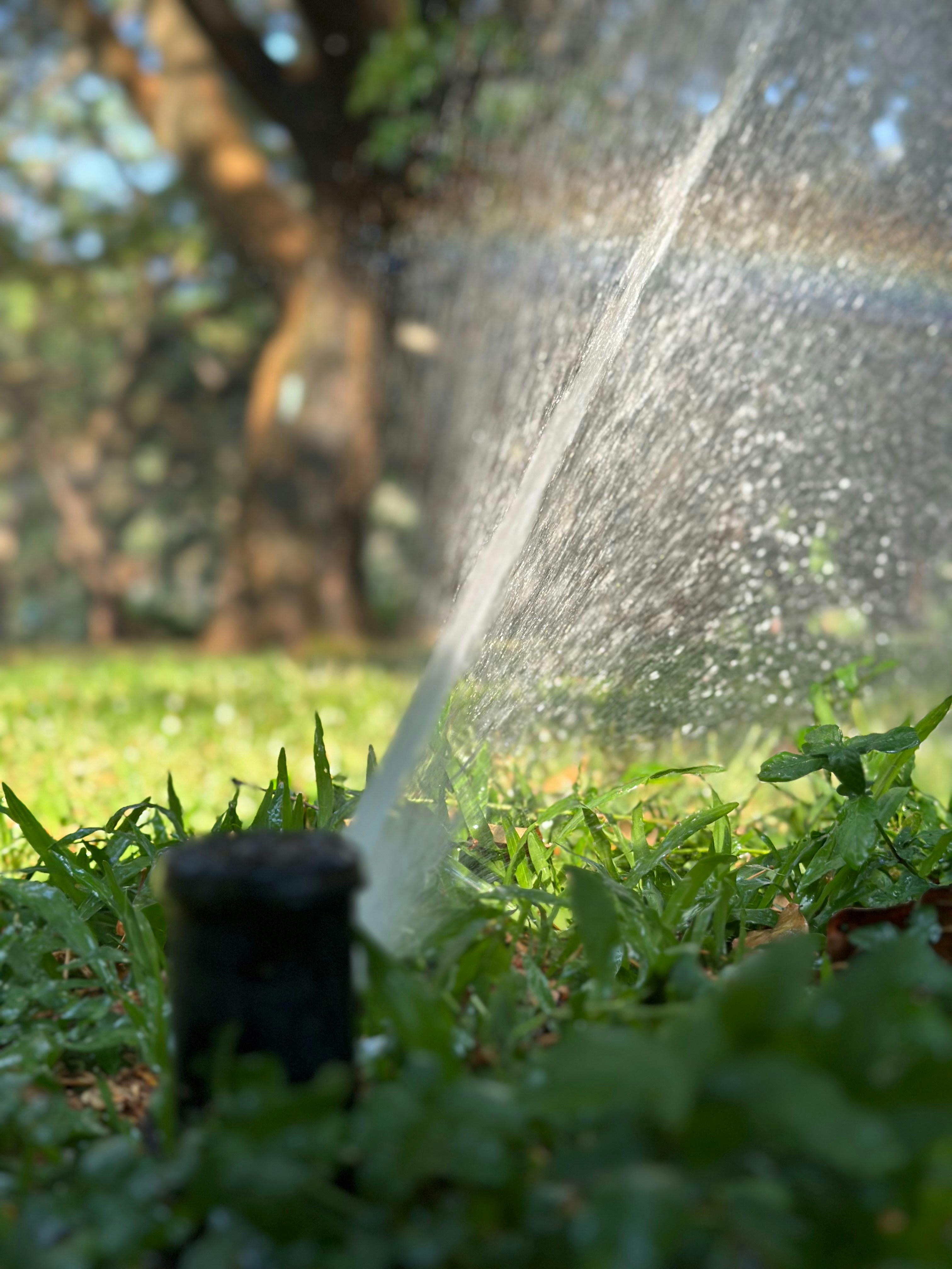 Sprinkler head spraying water arc over green grass in morning light, open sky background