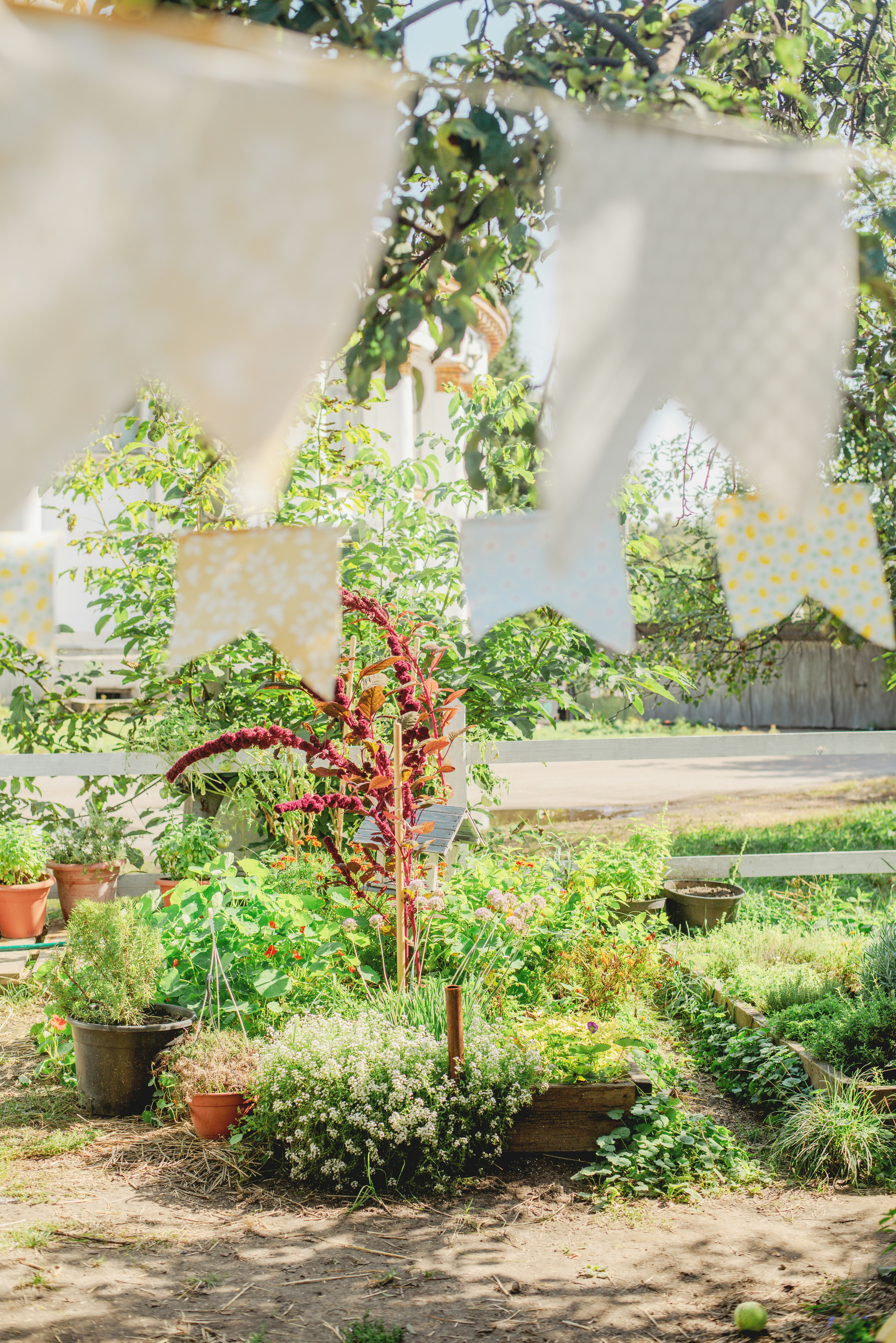 Photo by eugenivy_now