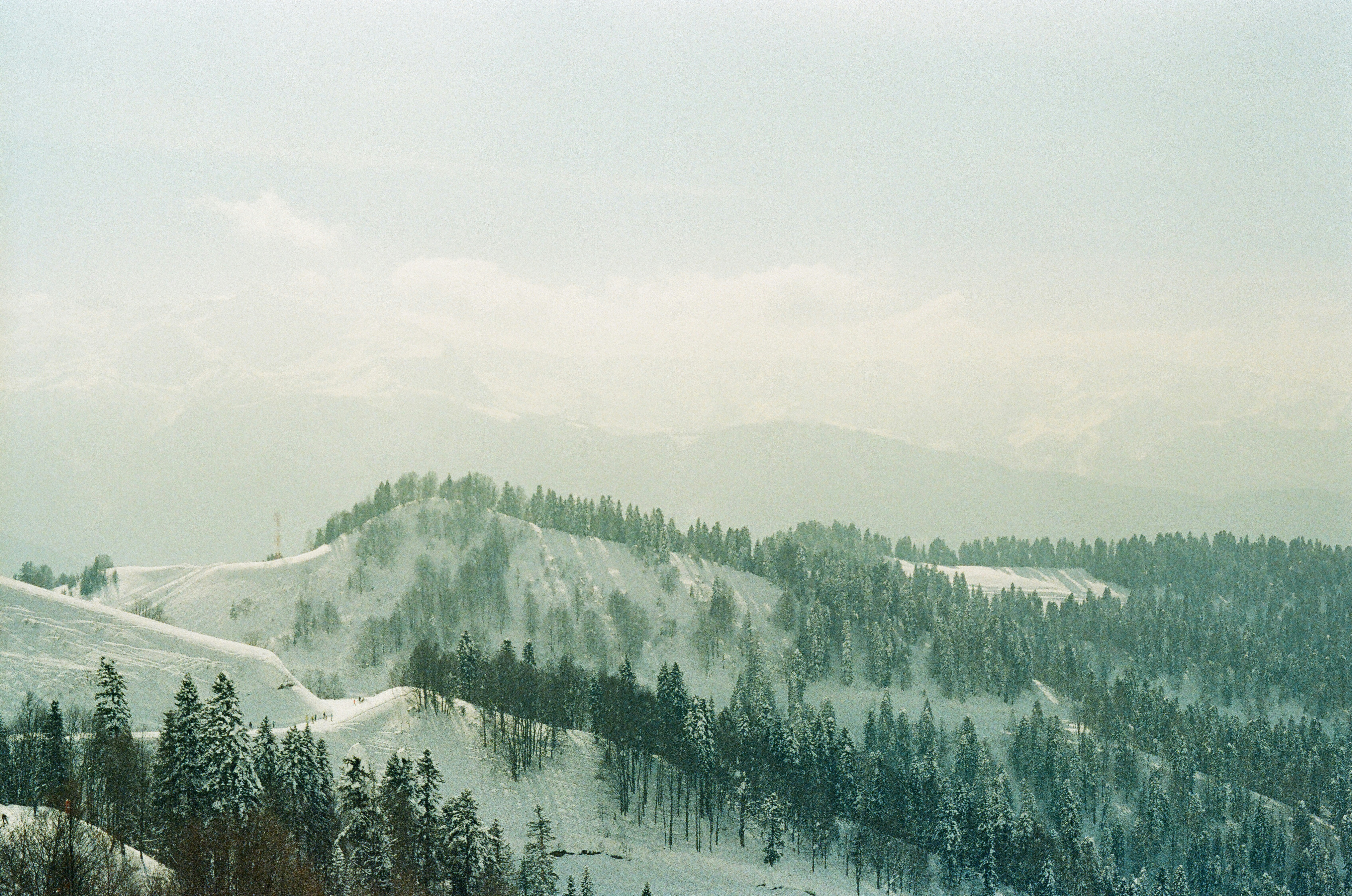 Photo by nikolaevafilm