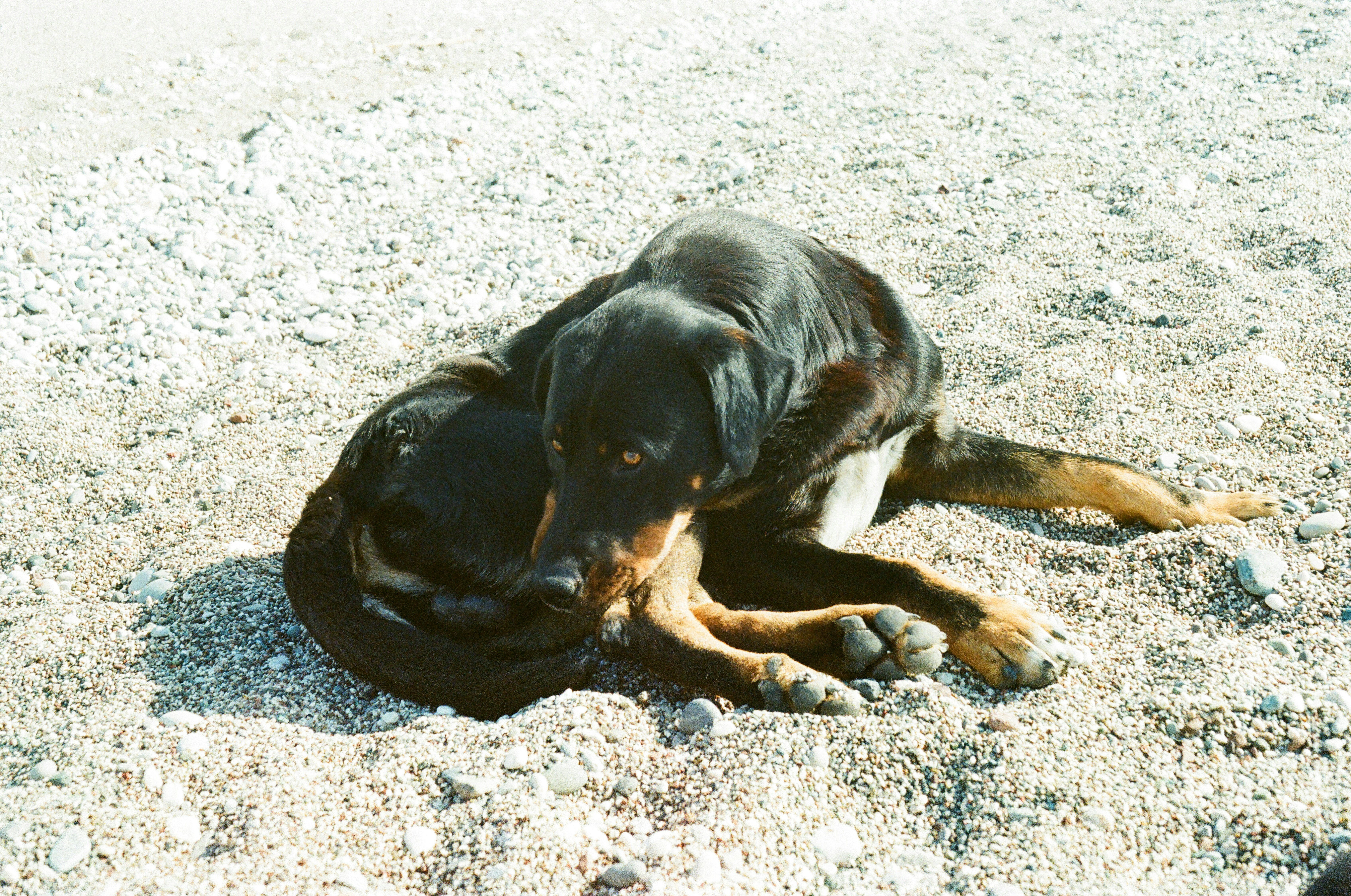 Photo by nikolaevafilm