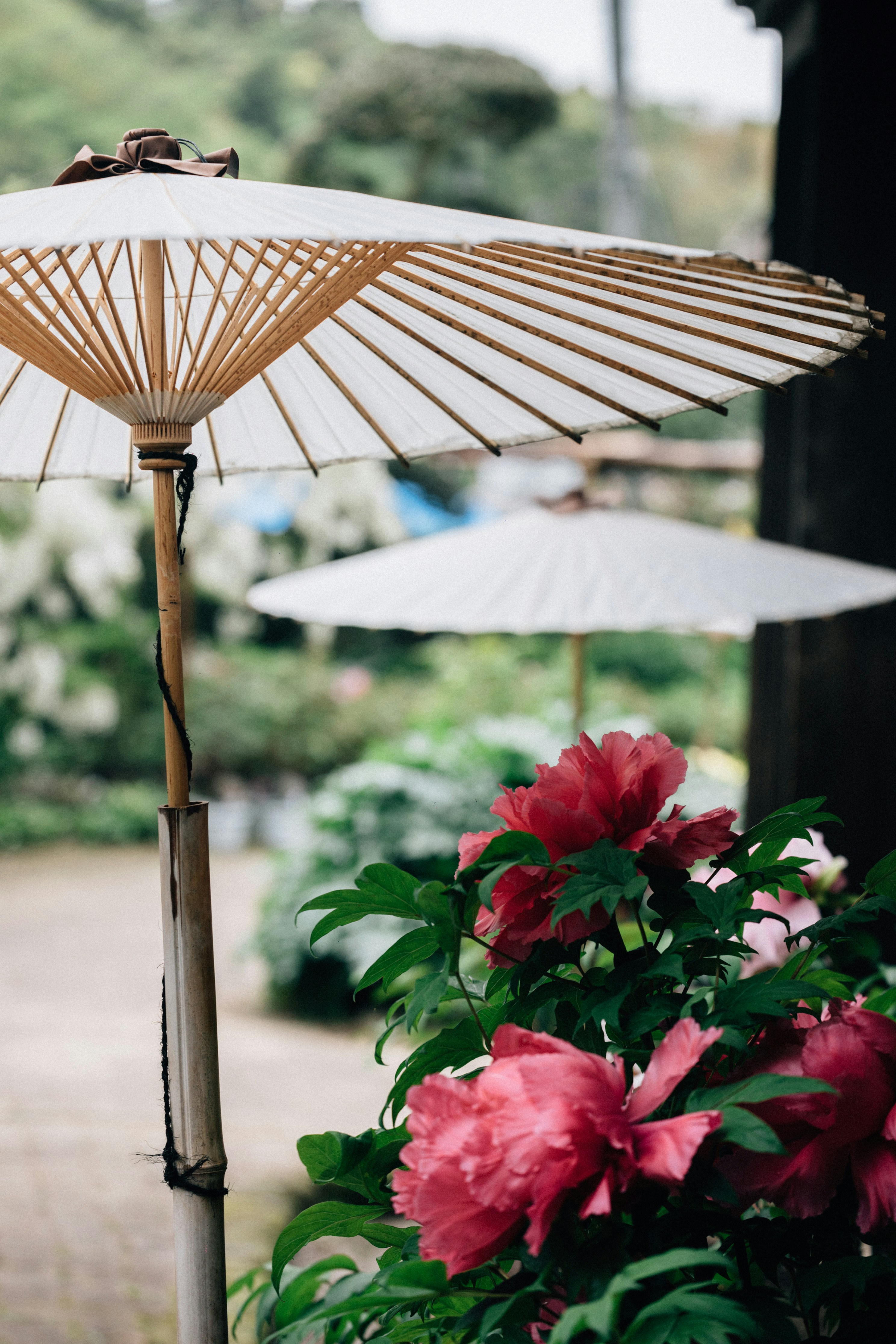 Photo by tsuyoshikozu