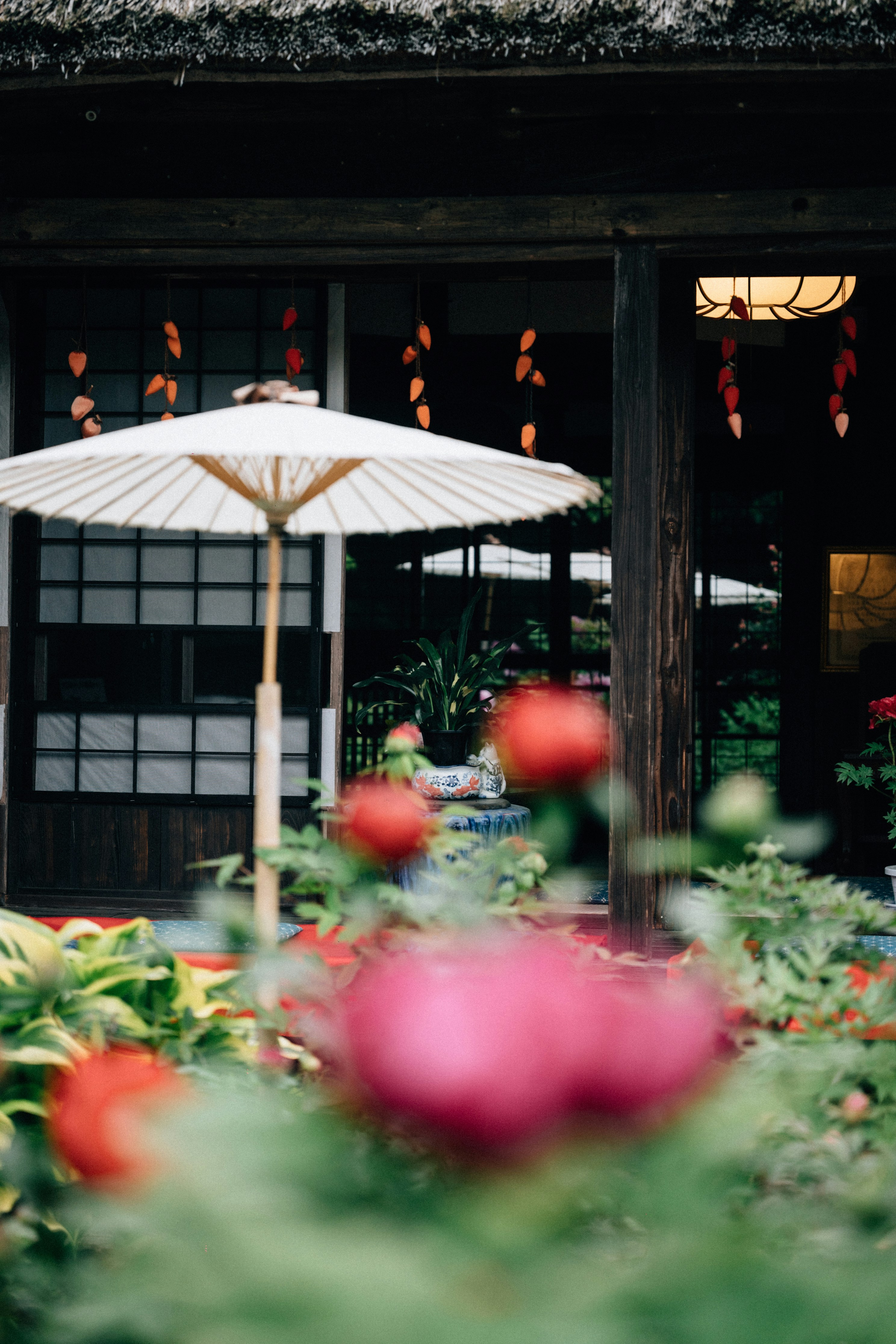 Photo by tsuyoshikozu