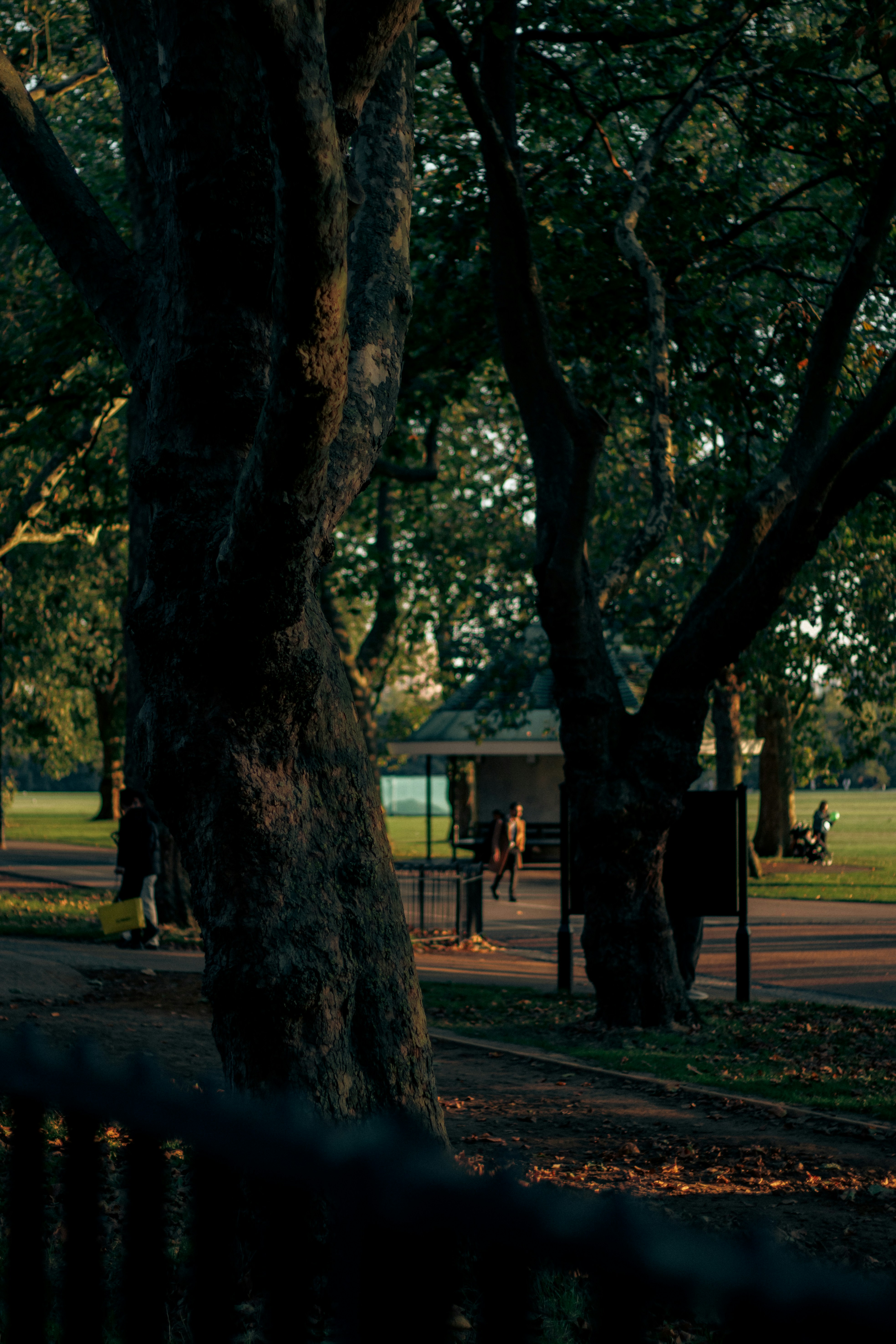 hyde park workout