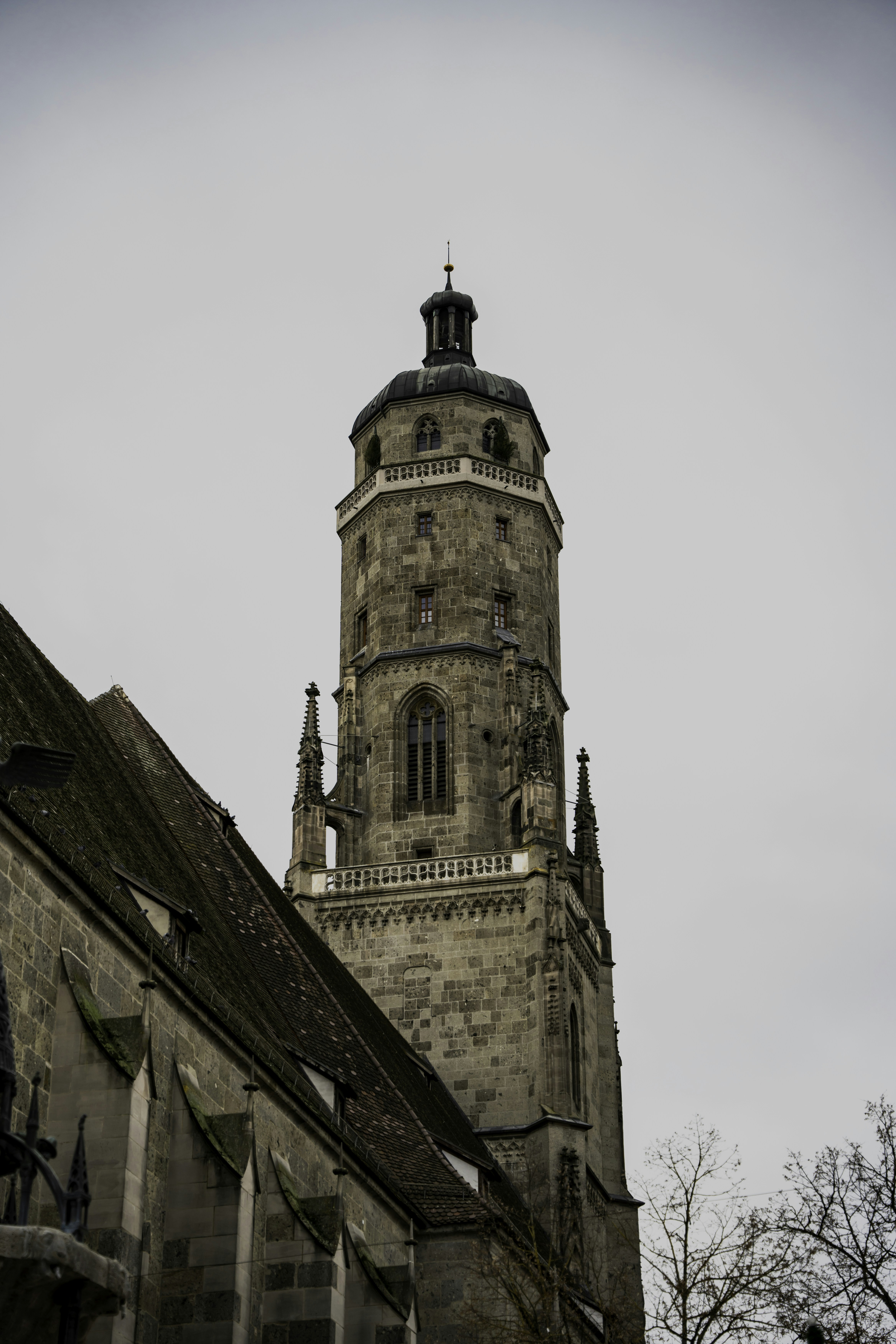 Photo by winstontjia