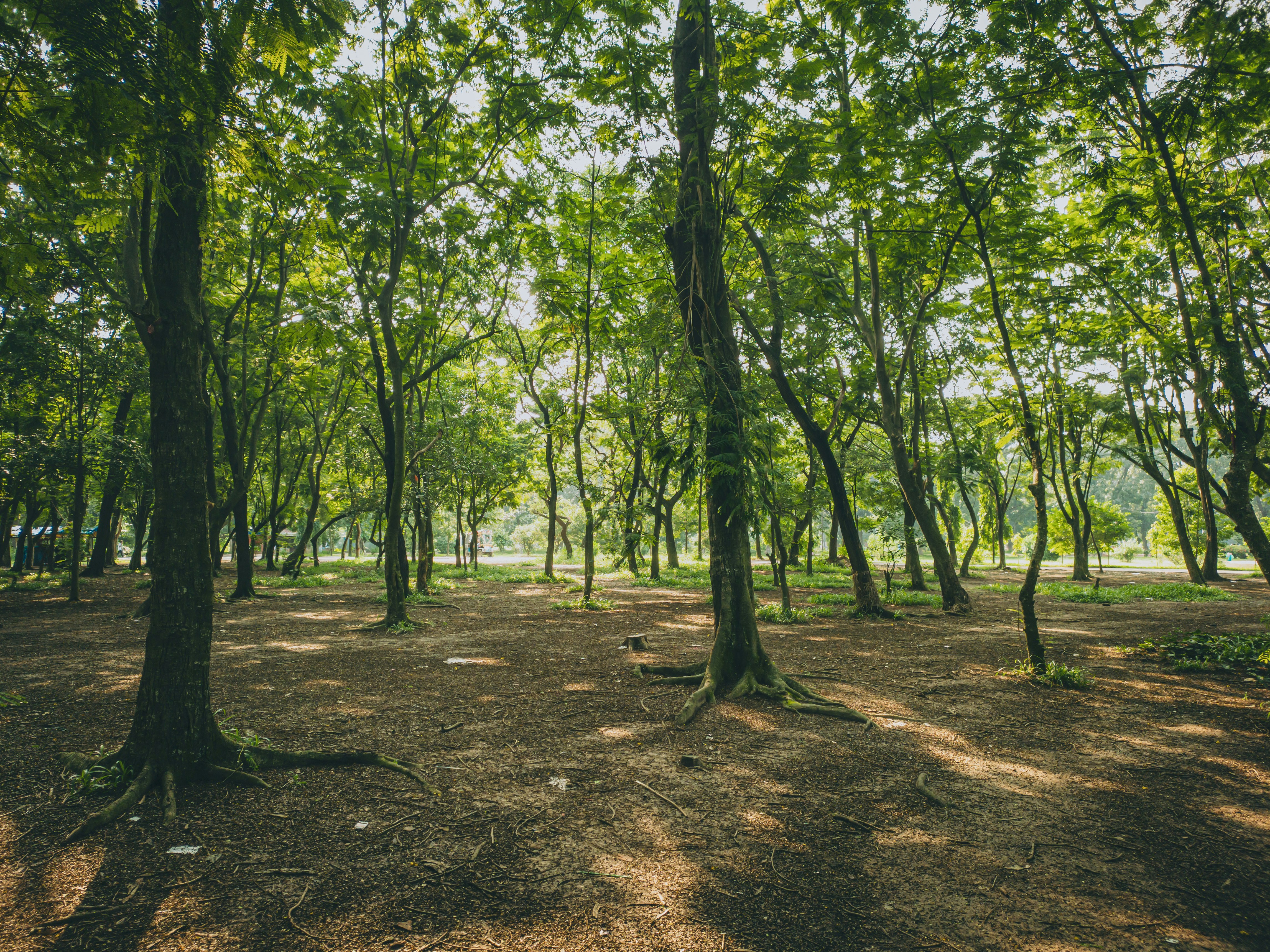 Photo by mahtabthe01